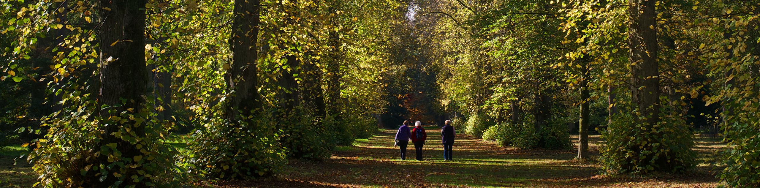 Westonbirt Arboretum Walk