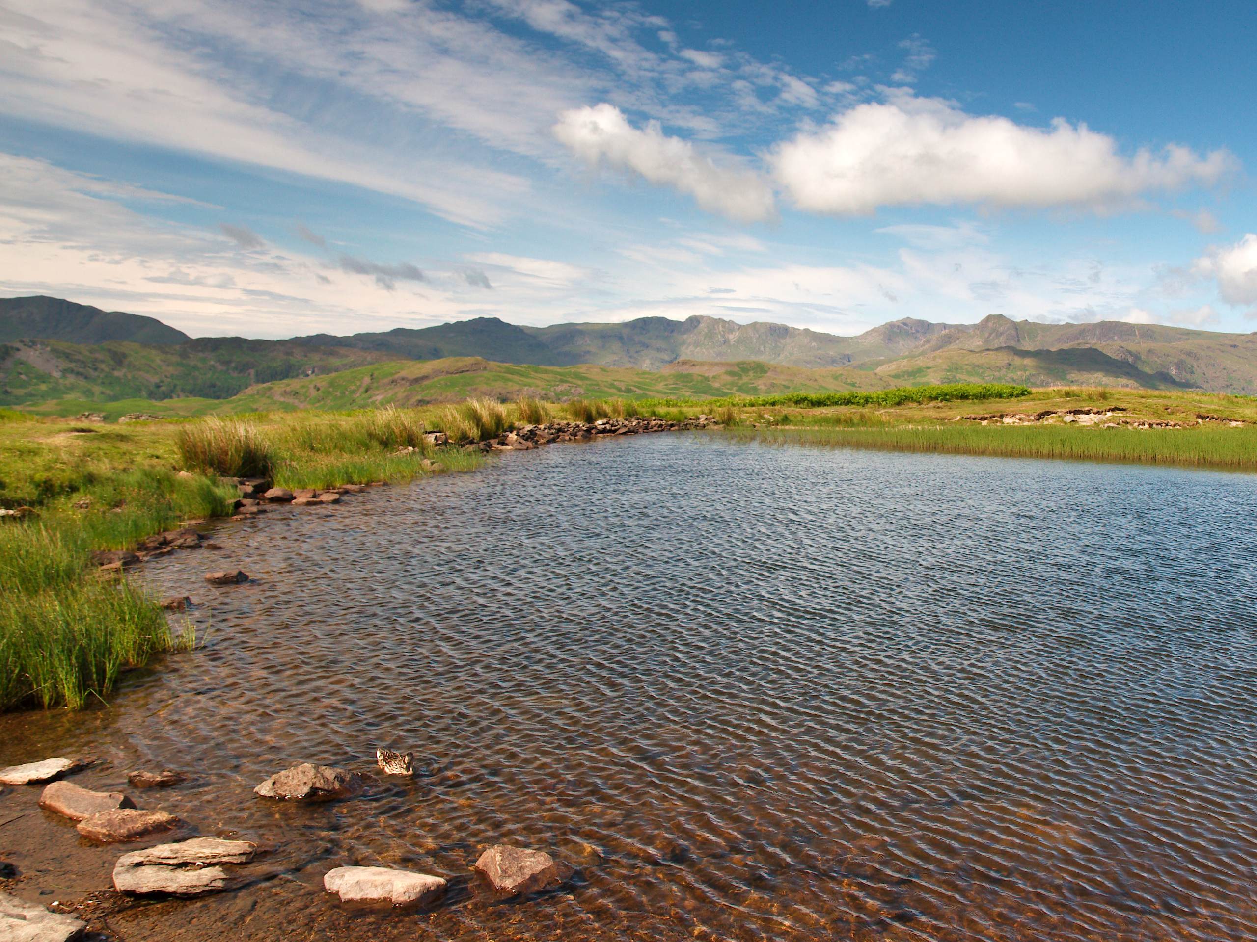 Alcock Tarn Walk