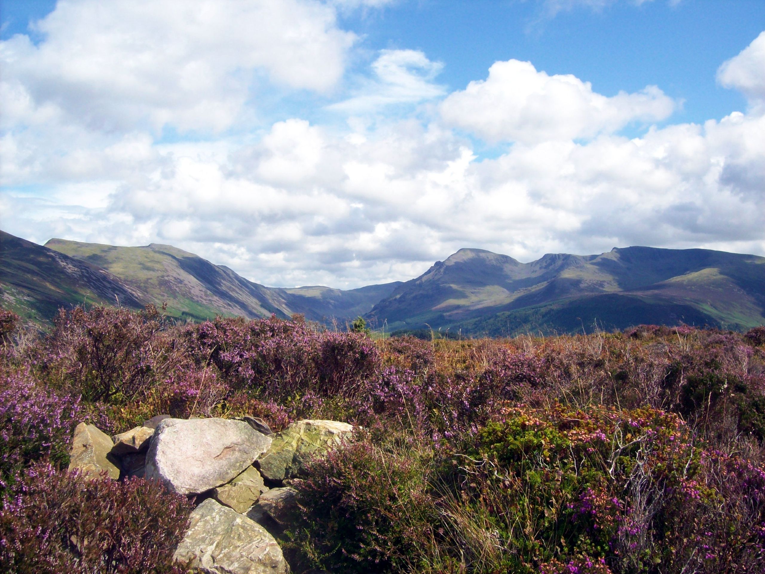 Bowness Knott Loop Trail