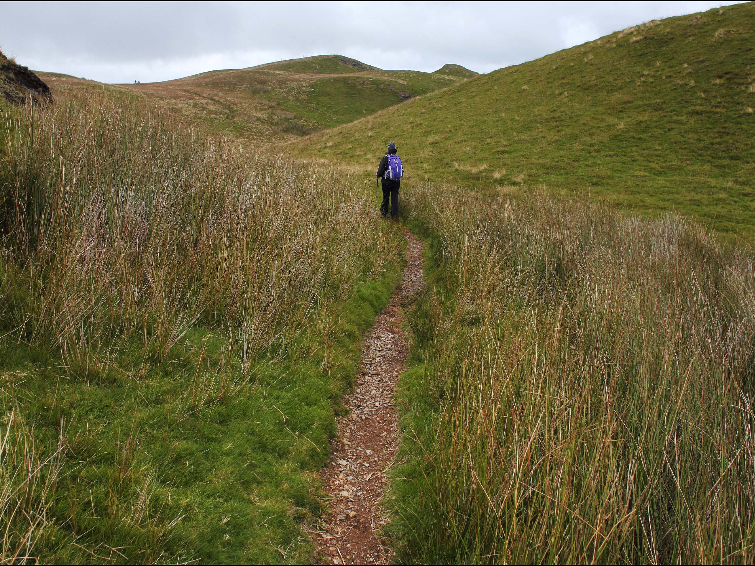 Fellbarrow & Low Fell Trail