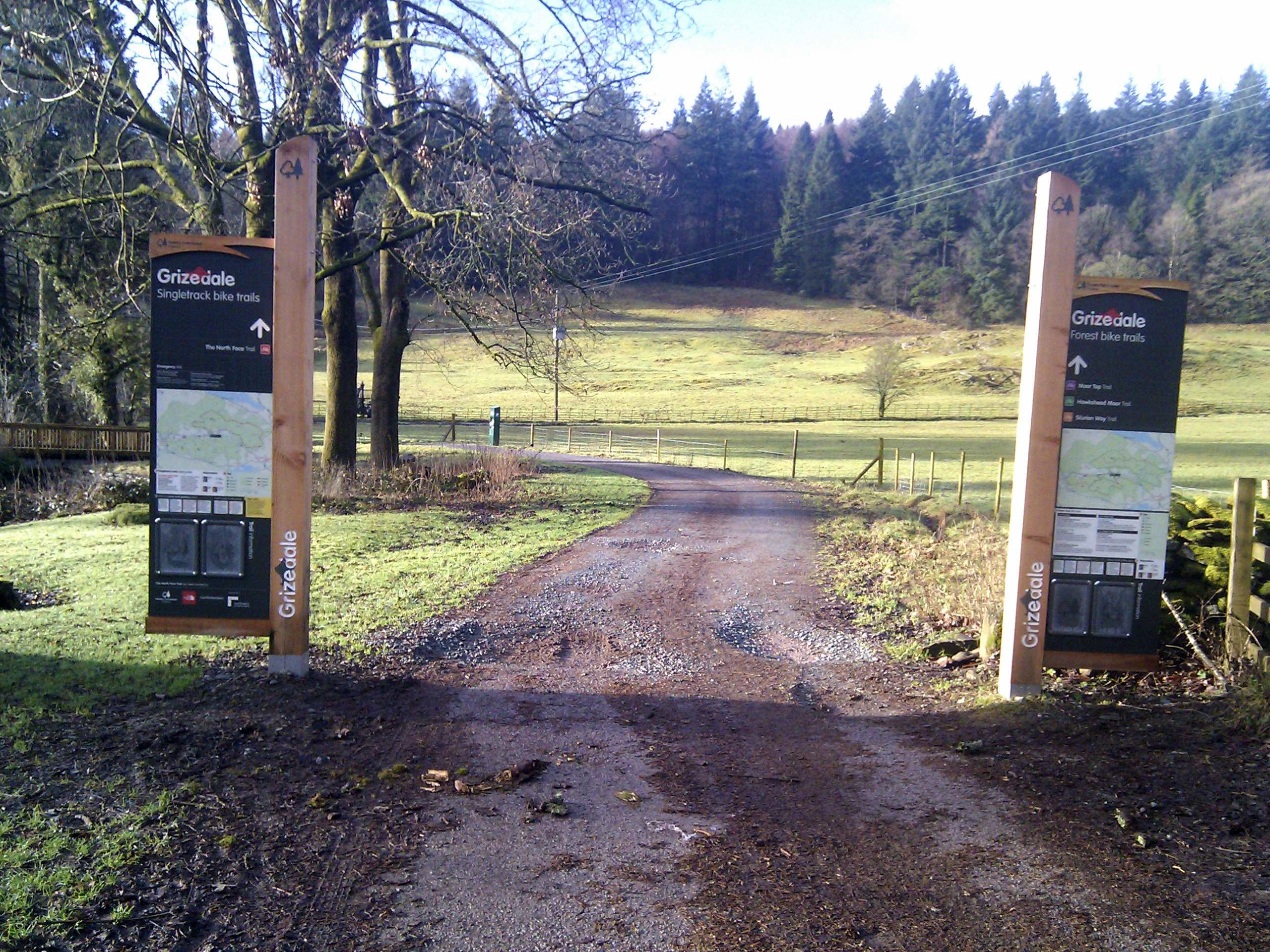 Grizedale Visitor Centre from Moor Top