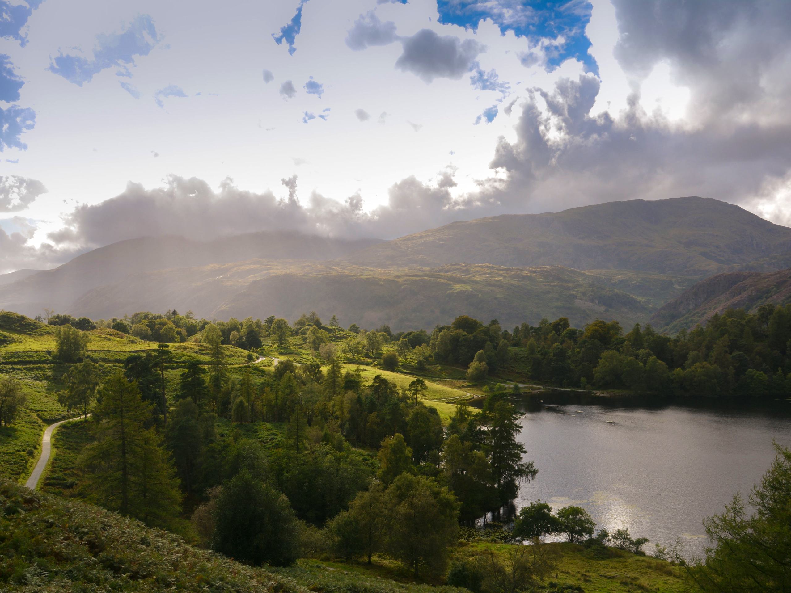 Hawkshead Hill, Tarn Hows, and Trover Intake Loop Trail