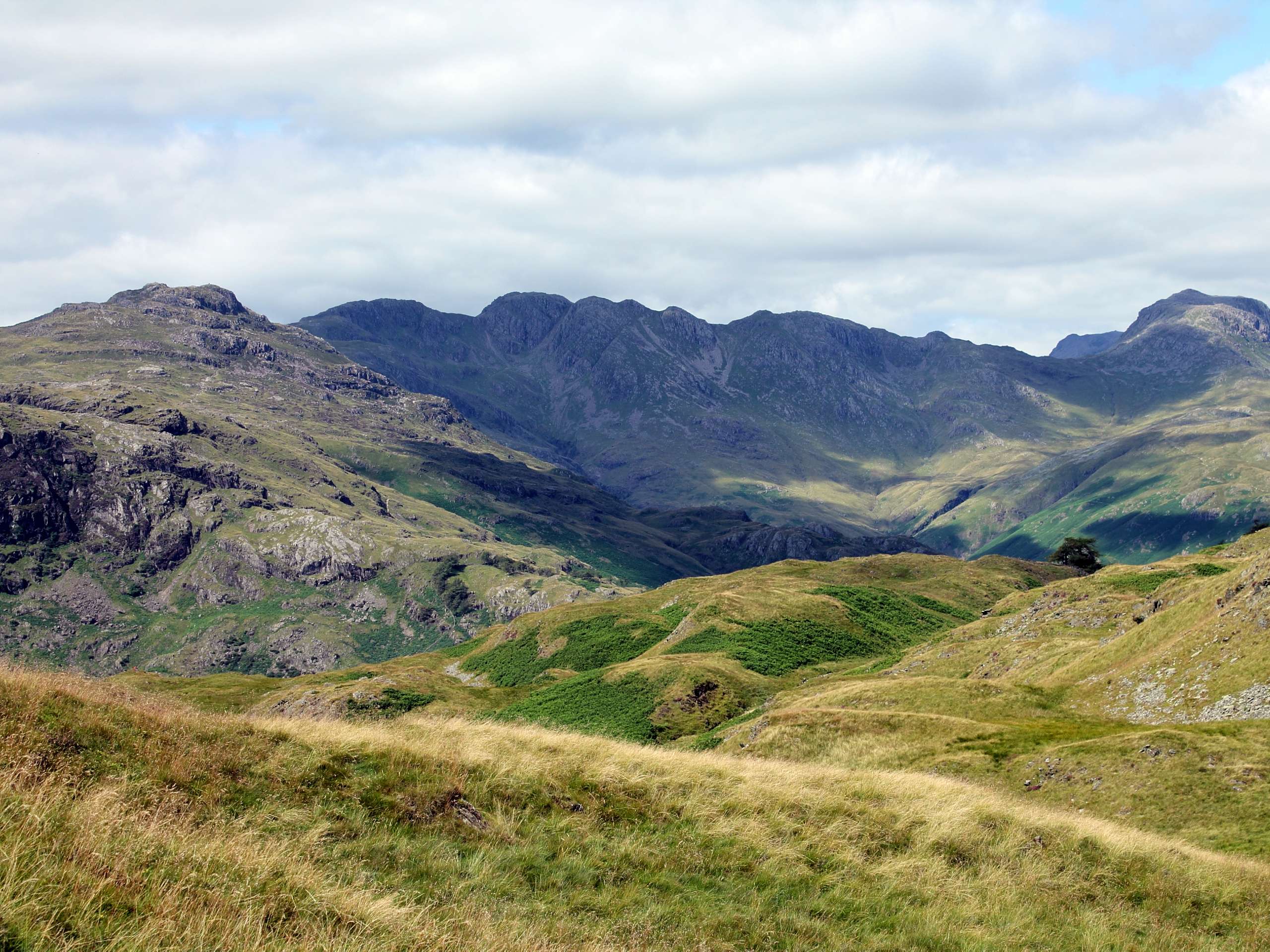 Lingmoor, Side Pike, and Blea Tarn Walk