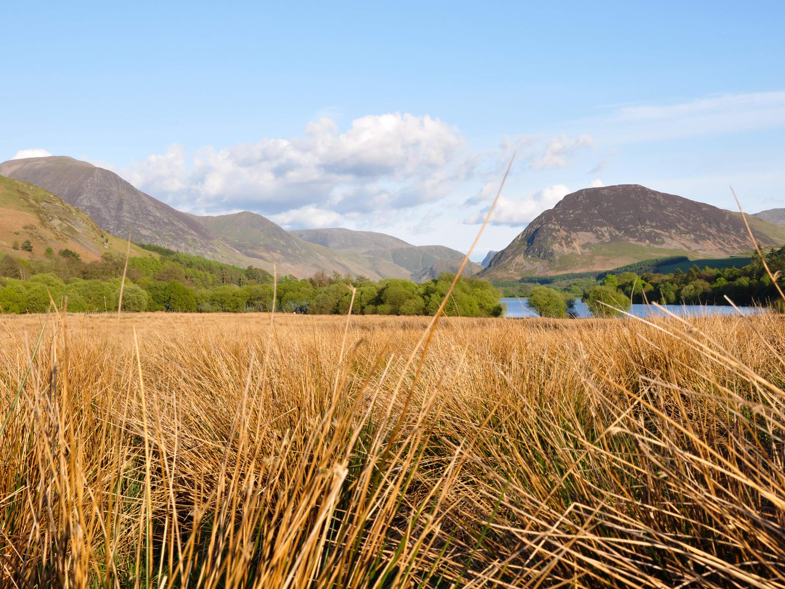 Loweswater Circular Walk