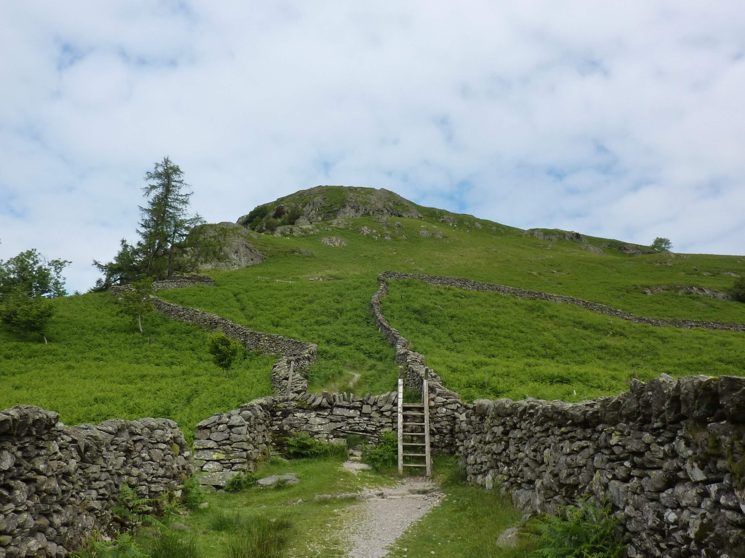 Nab Scar Heron Pike and Stone Arthur Circular Walk