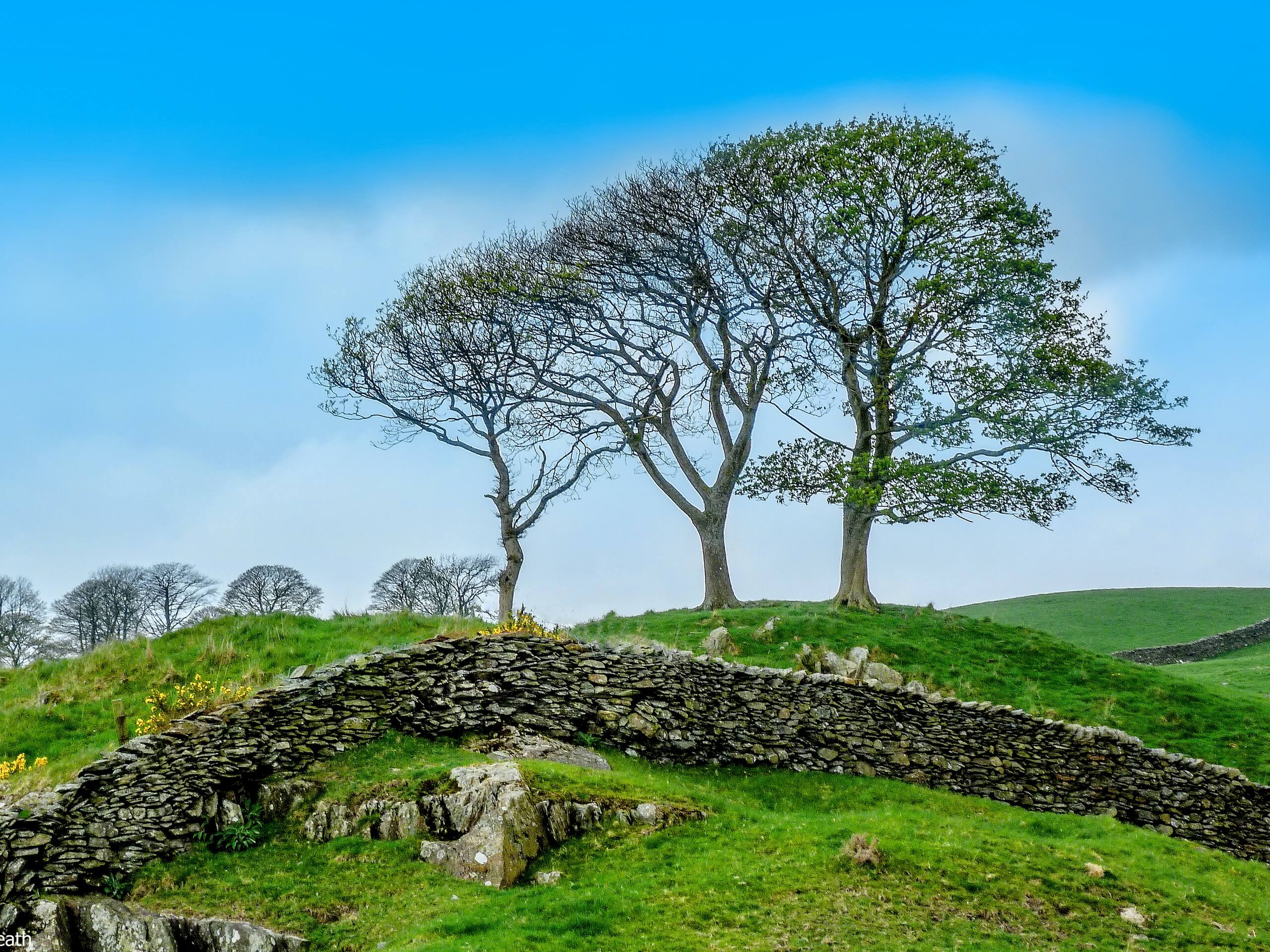 Staveley to Ings Walk