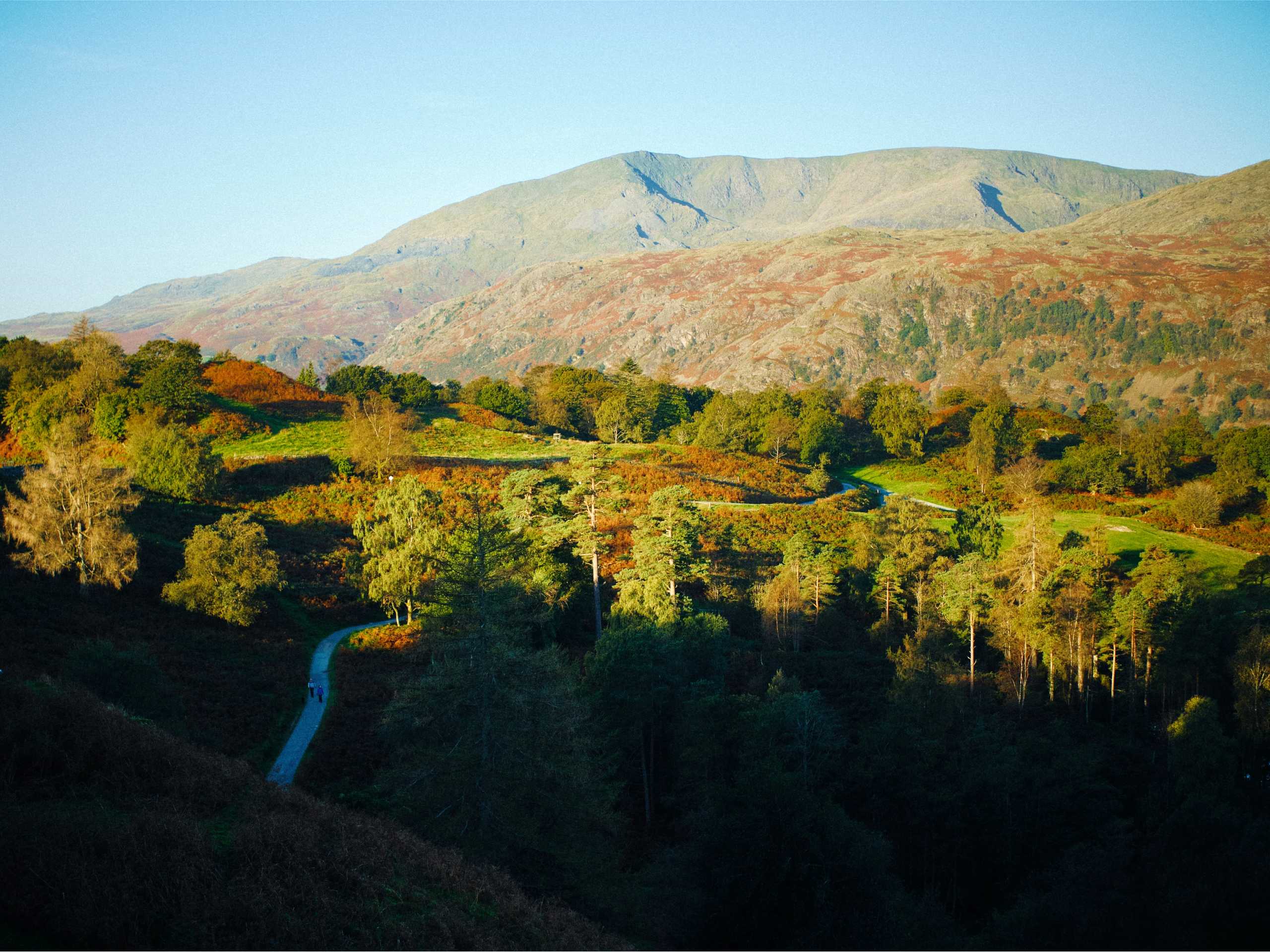 Tarn Hows Circular Walk