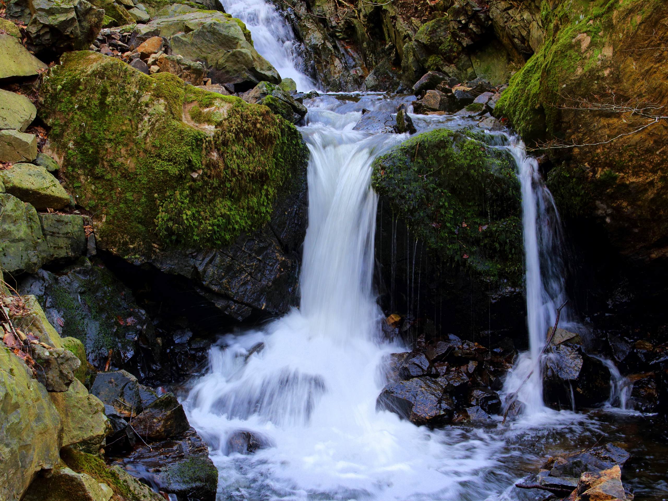 Tom Gill Waterfall Circular Walk