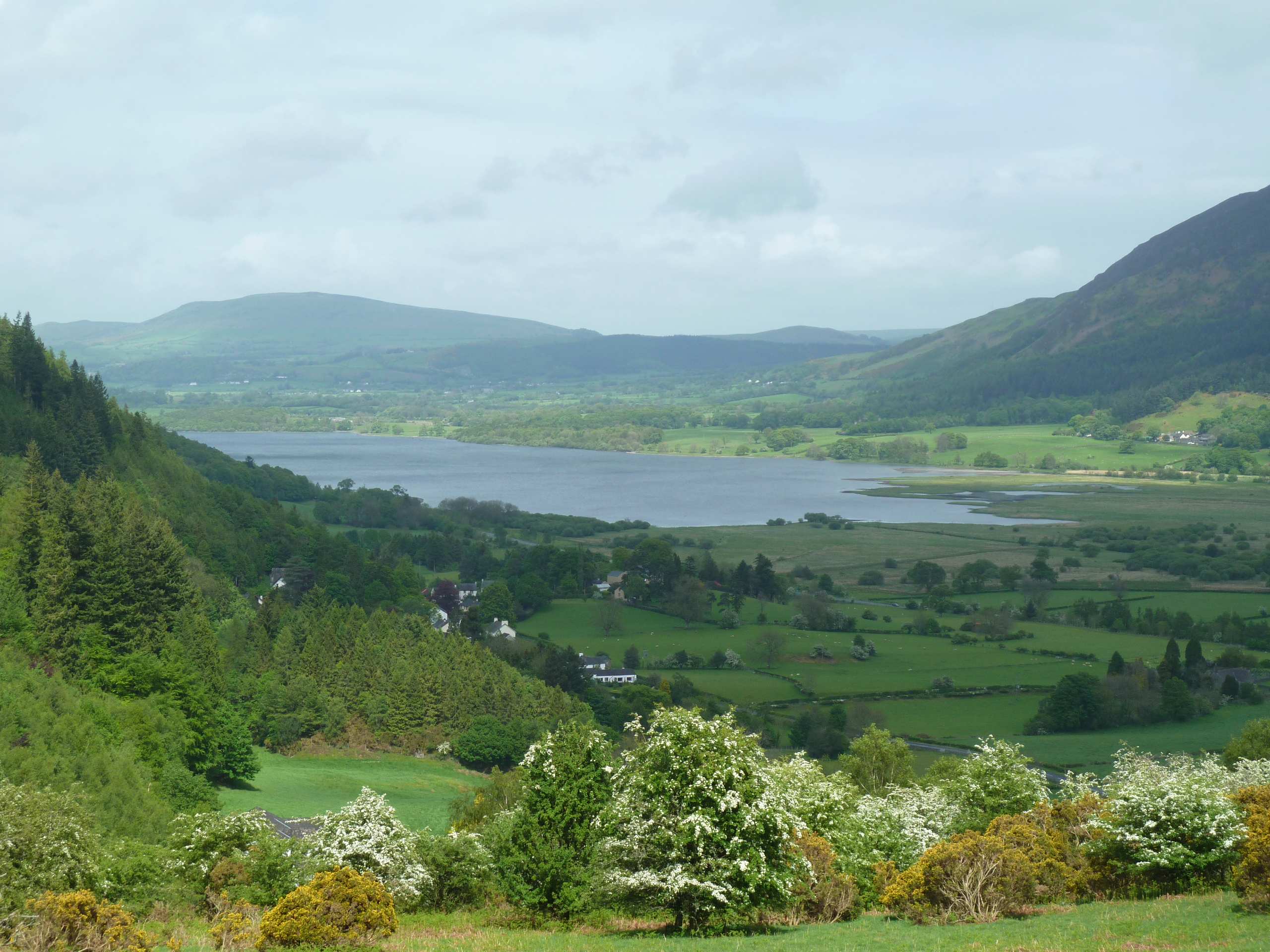 Whinlatter Pass Walk