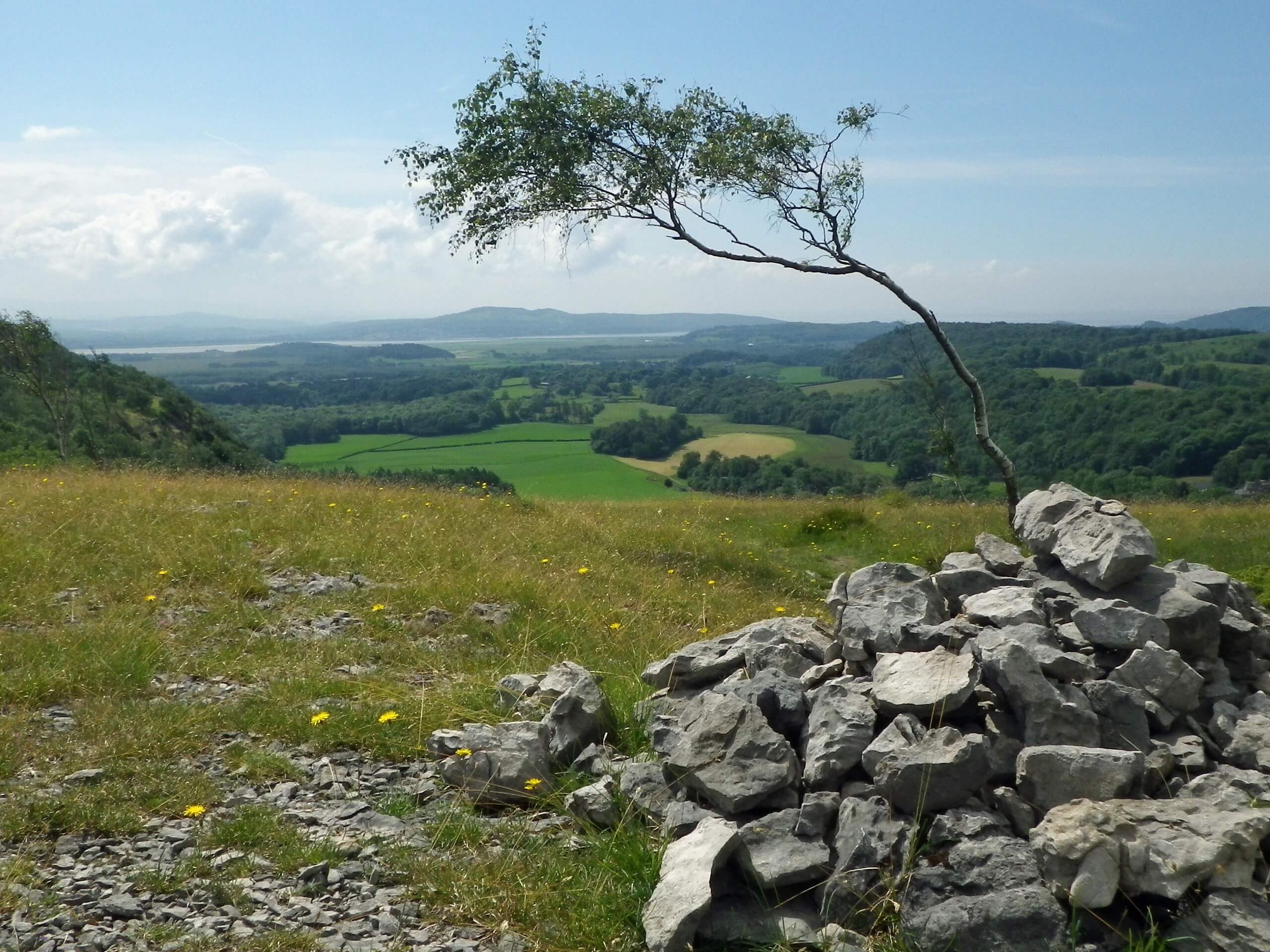 Whitbarrow Scar via Lord’s Seat Walk