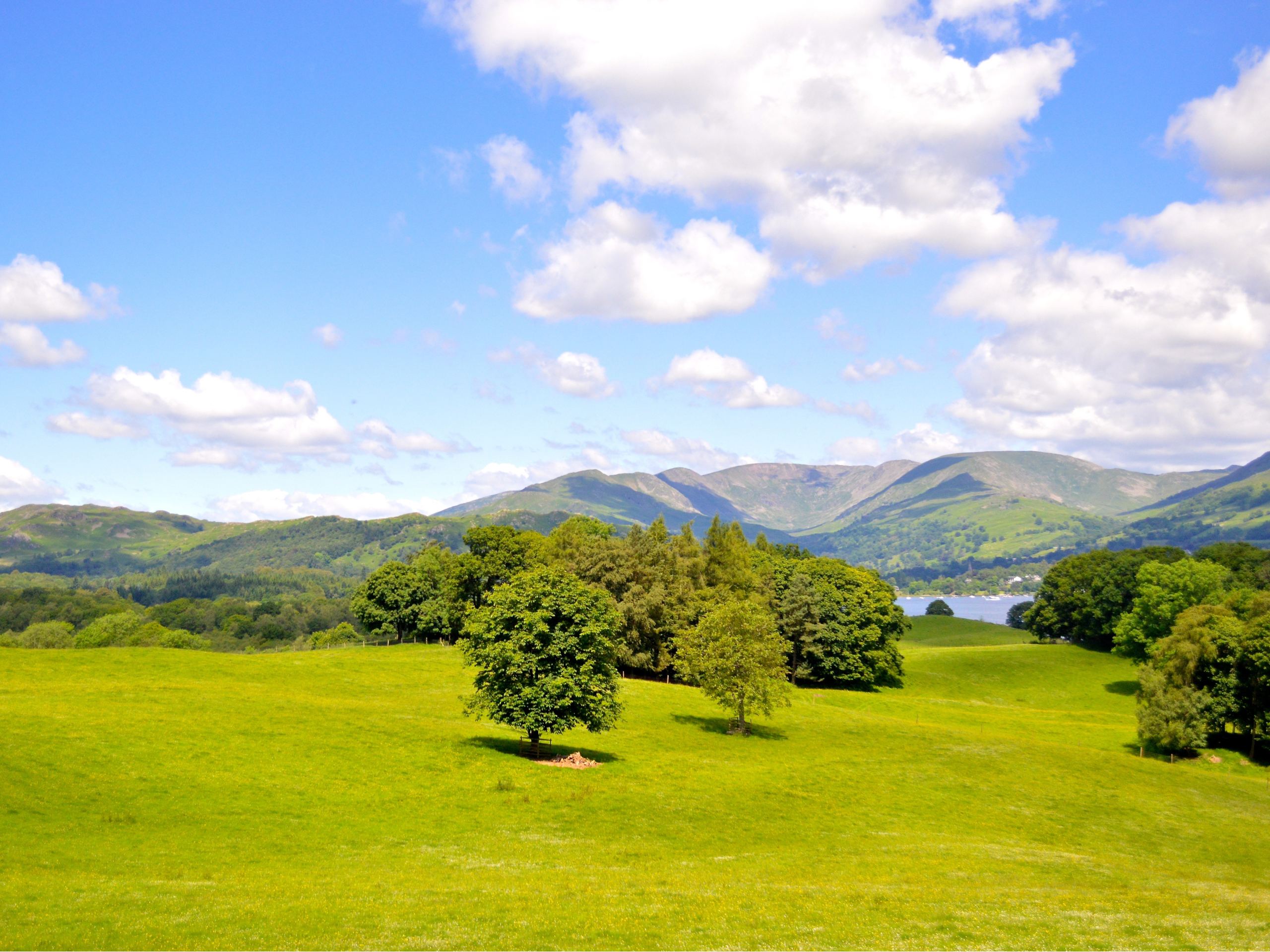Wray Castle to Ferry House Walk