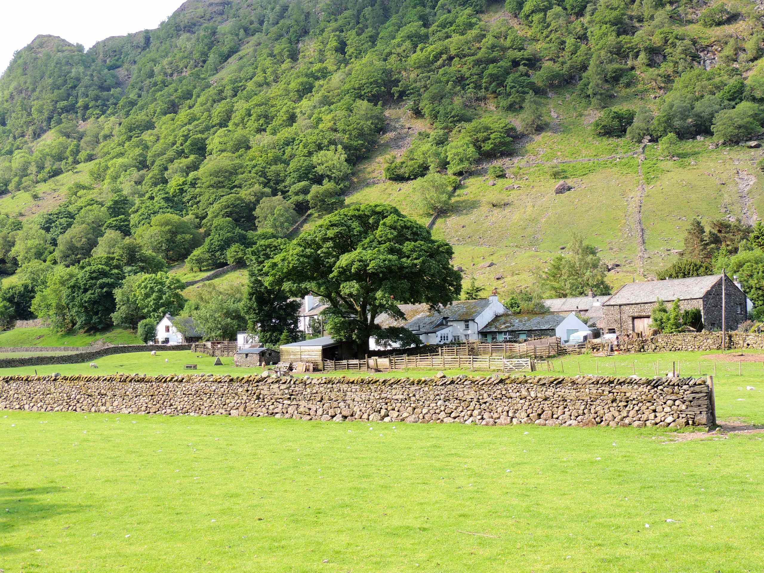 Stonethwaite Circular Walk