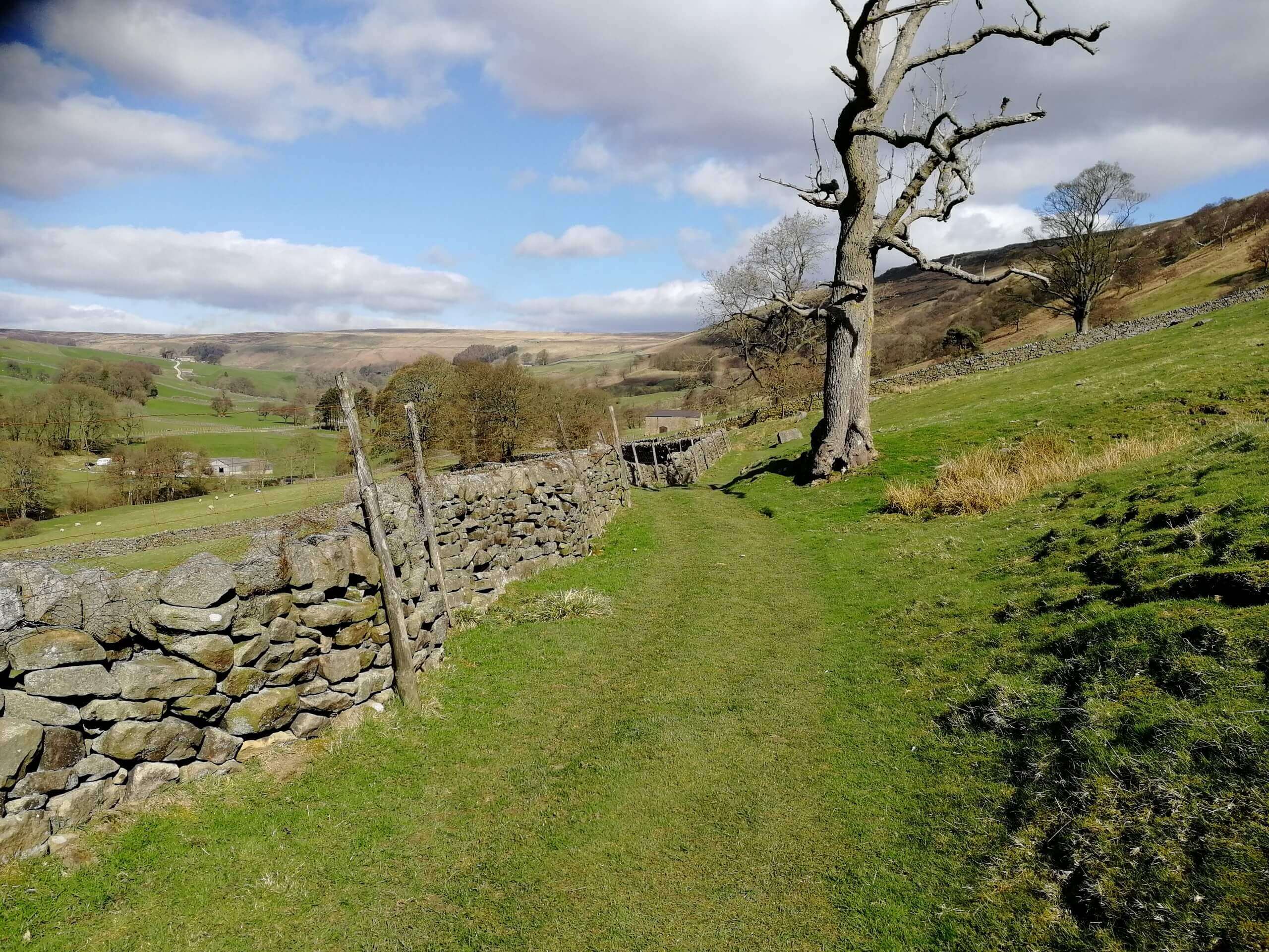 Greenhow Walk