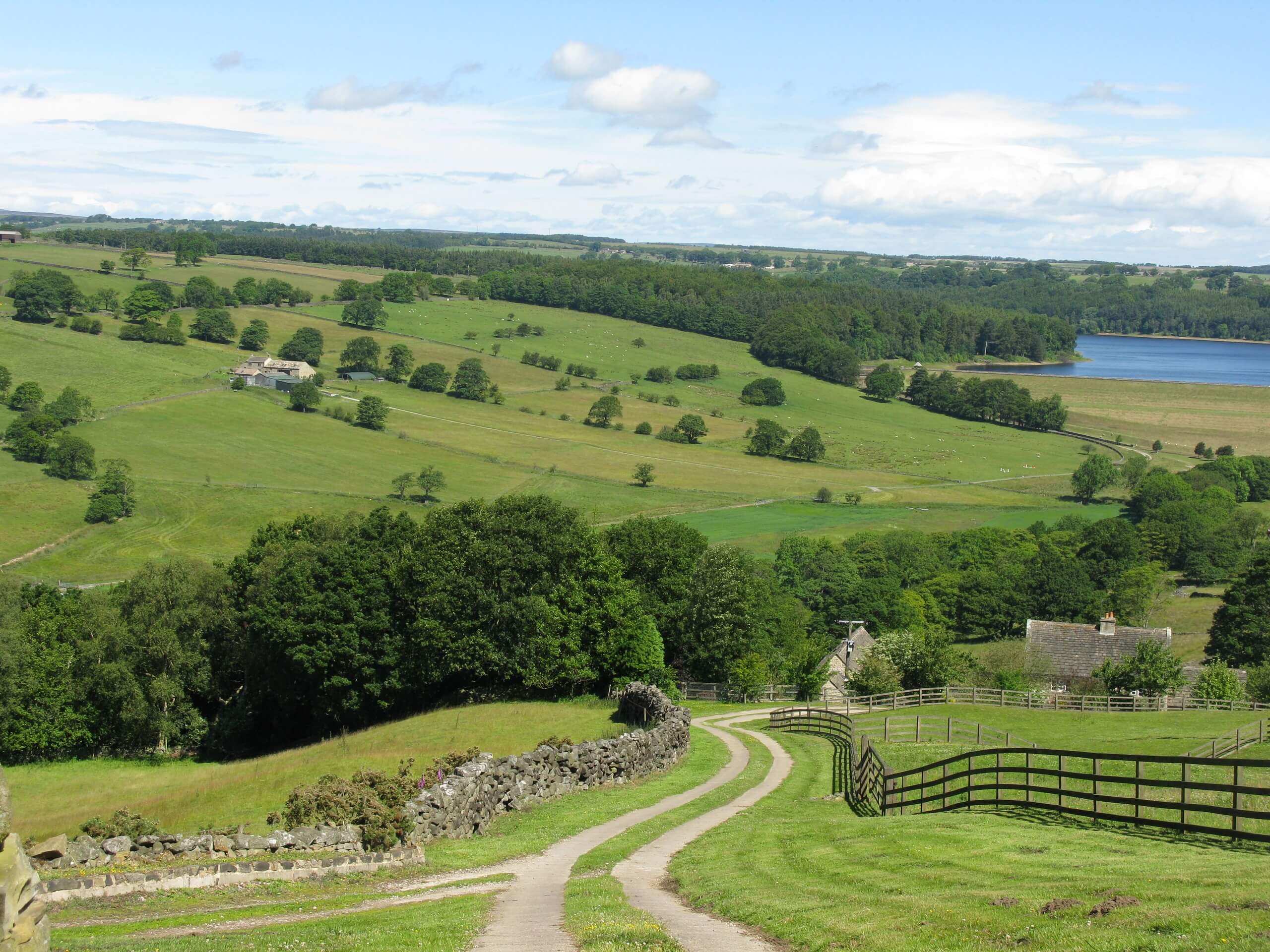 Swinsty and Fewston Reservoir Walk