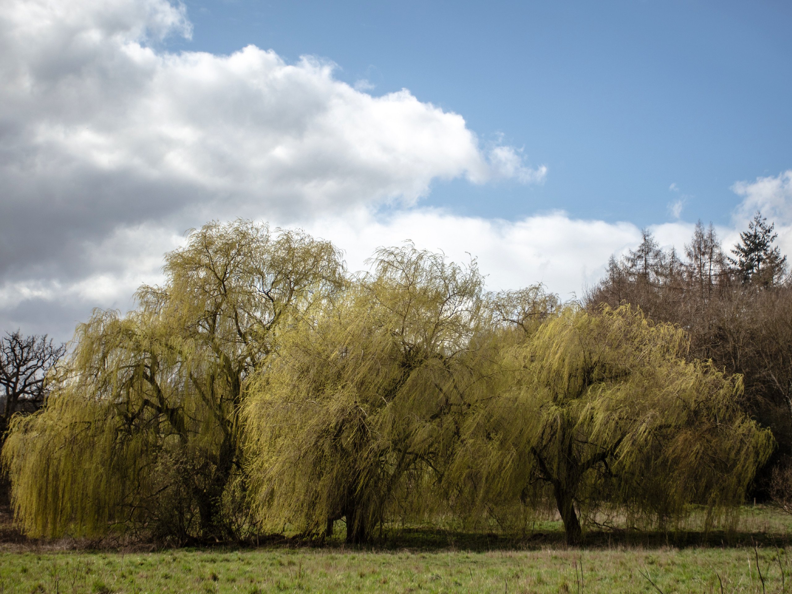 Chess Valley from Rickmansworth Walk