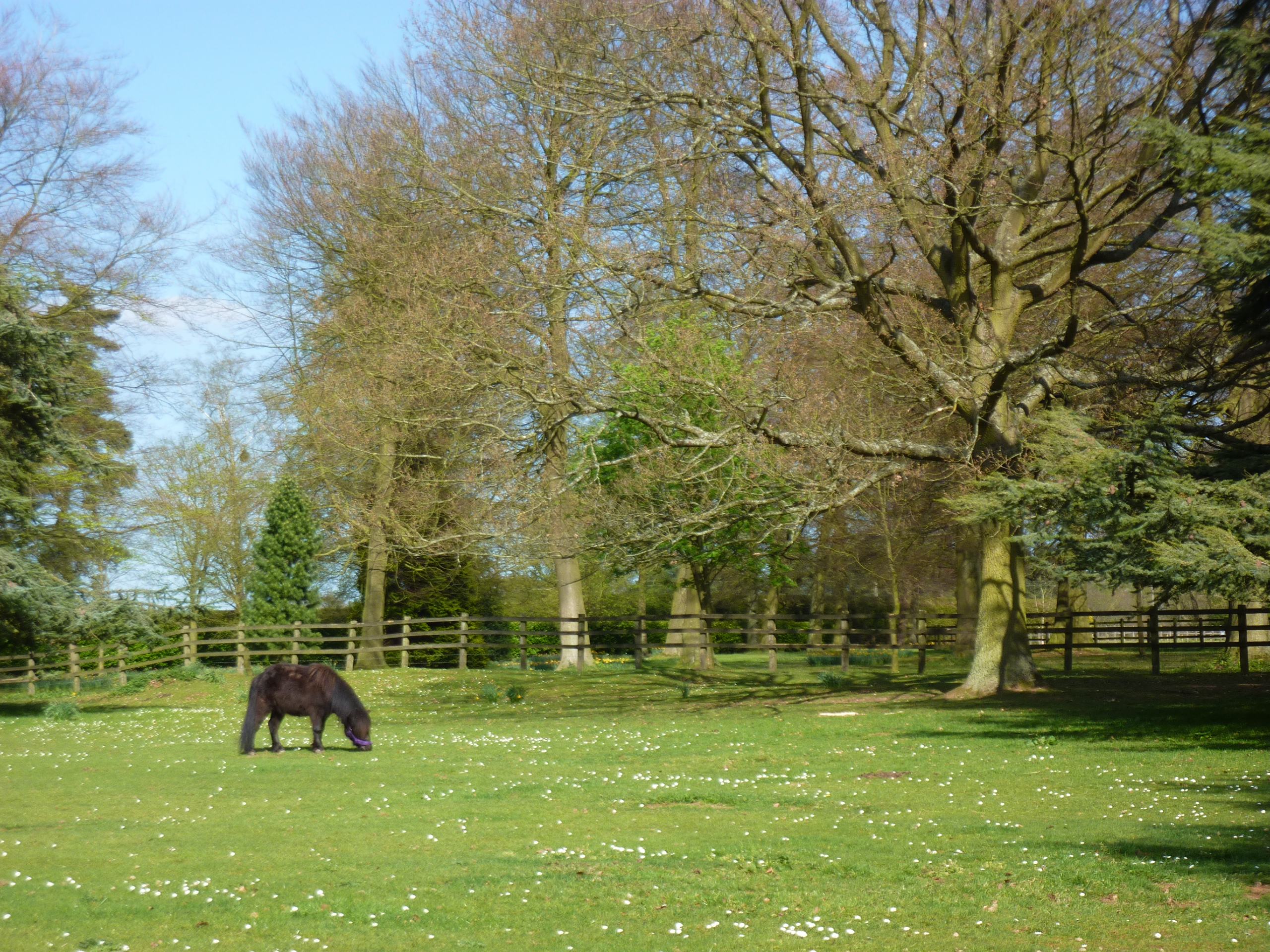 Ewelme Circular