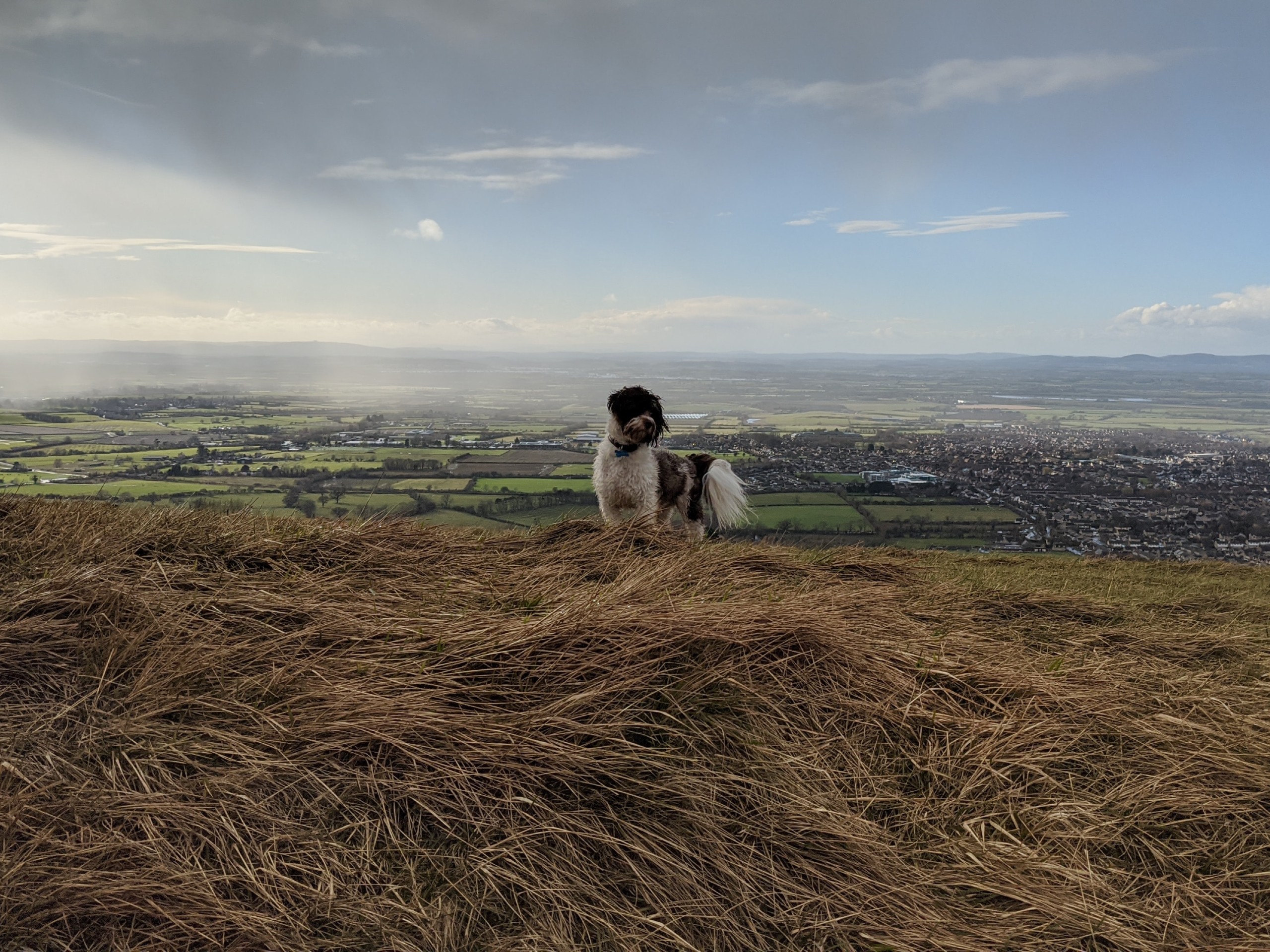 Cleeve Hill – Winchcombe Circular Walk