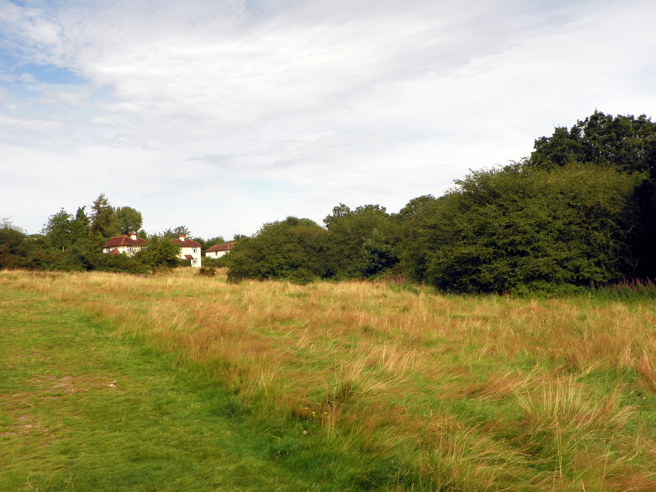 Downley Loop Path