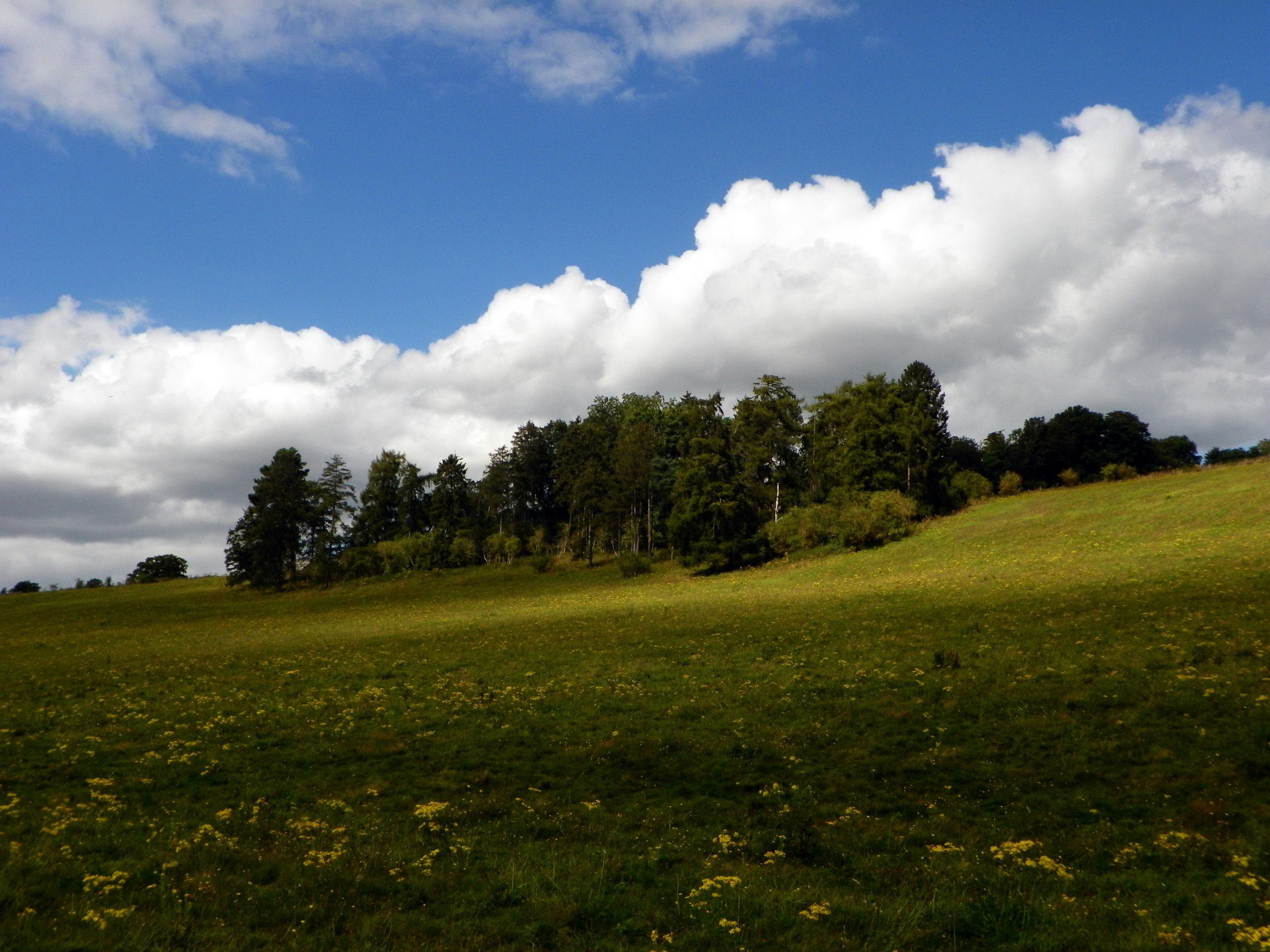 Henley, the Greys and the Rotherfields Walk