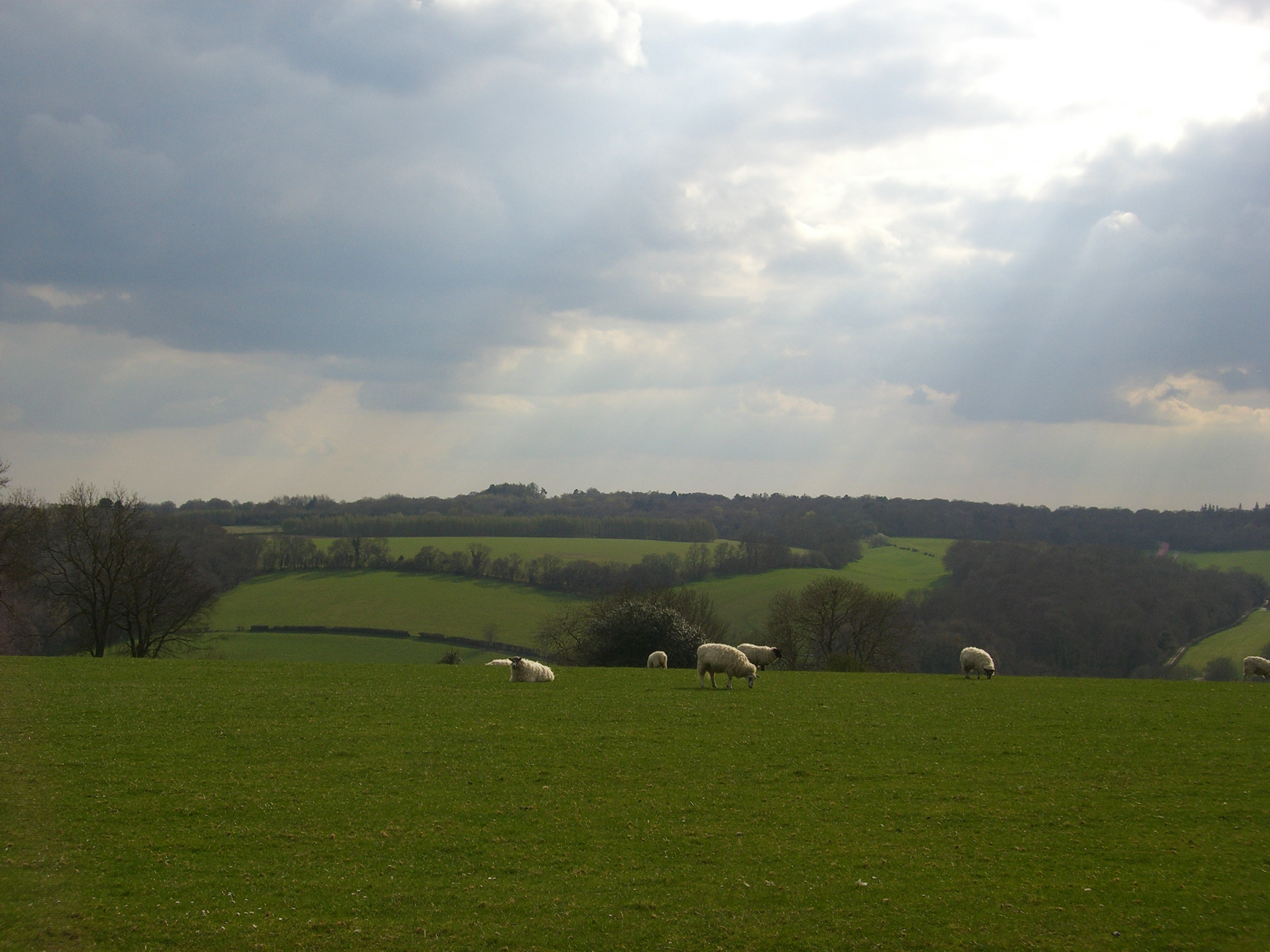 Maidensgrove Circular Walk