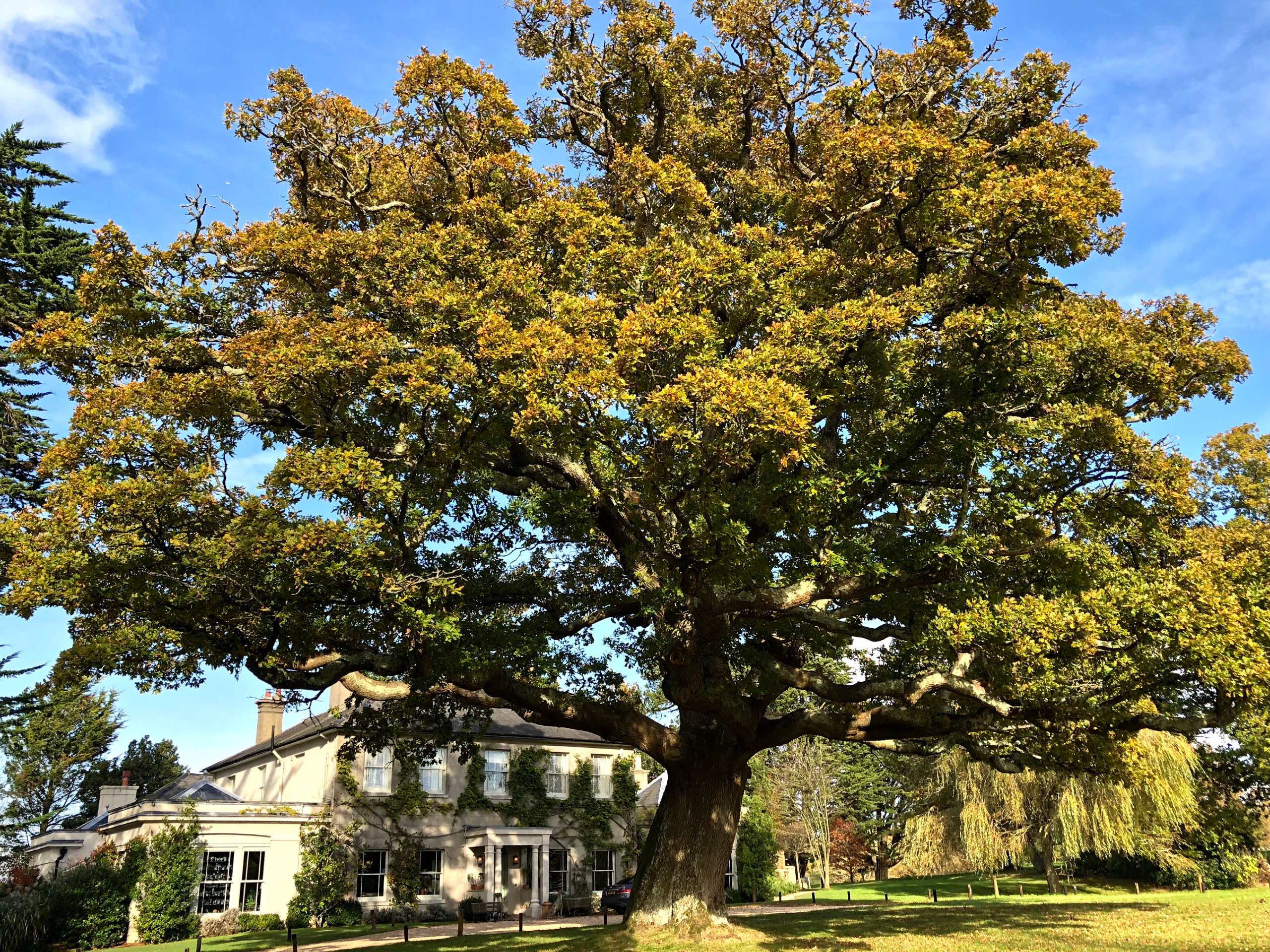 Brockenhurst Village Walk