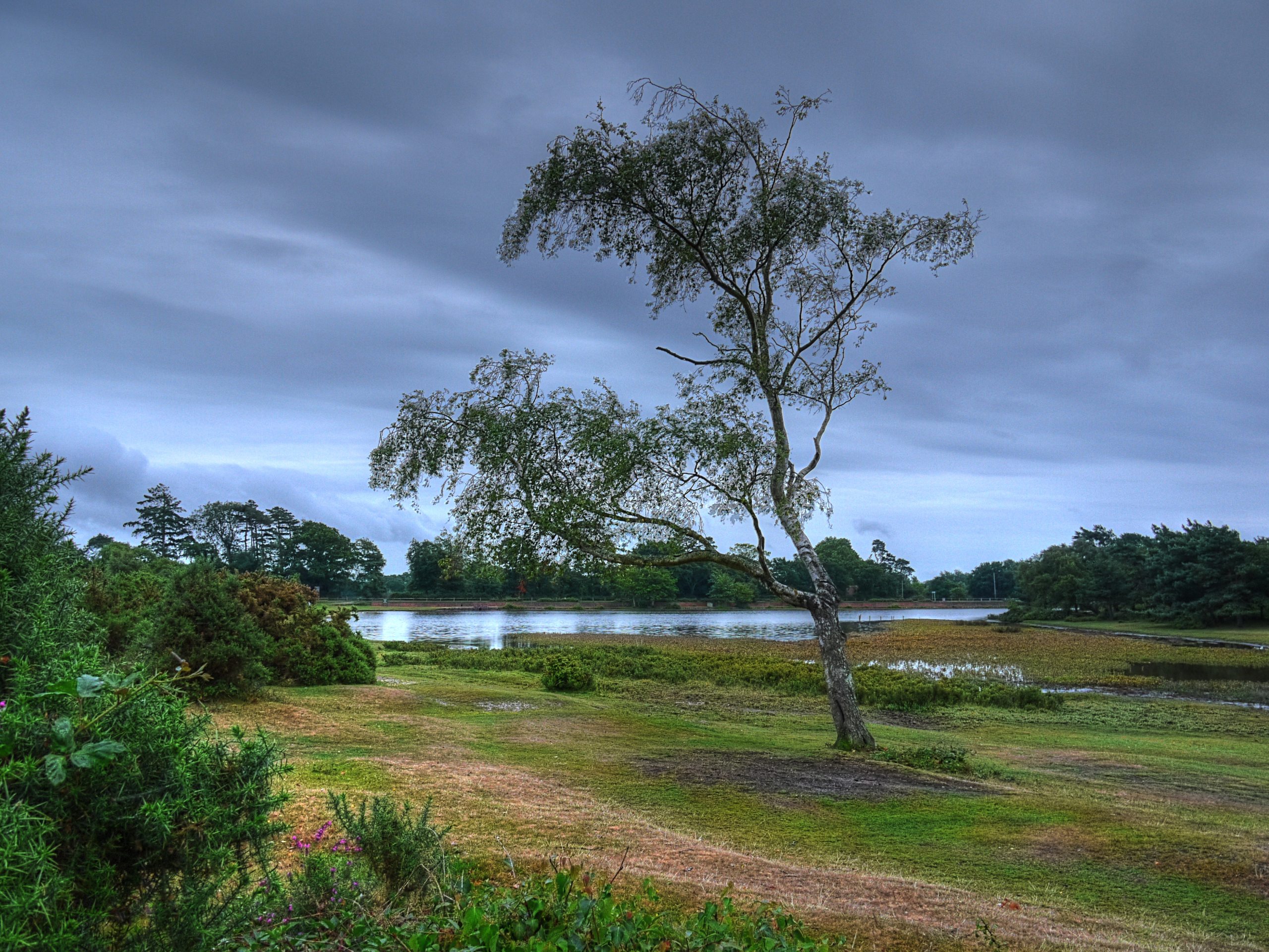 Hatchet Pond Circular Walk