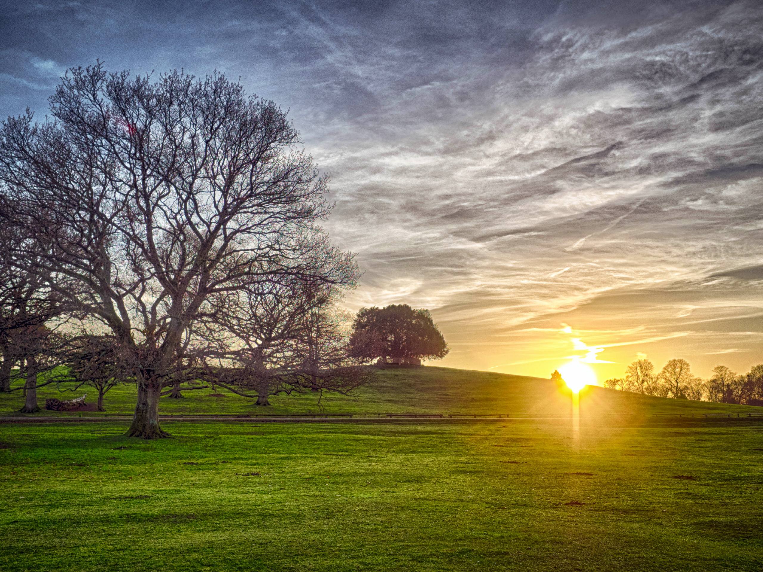 Lyndhurst Circular Walk