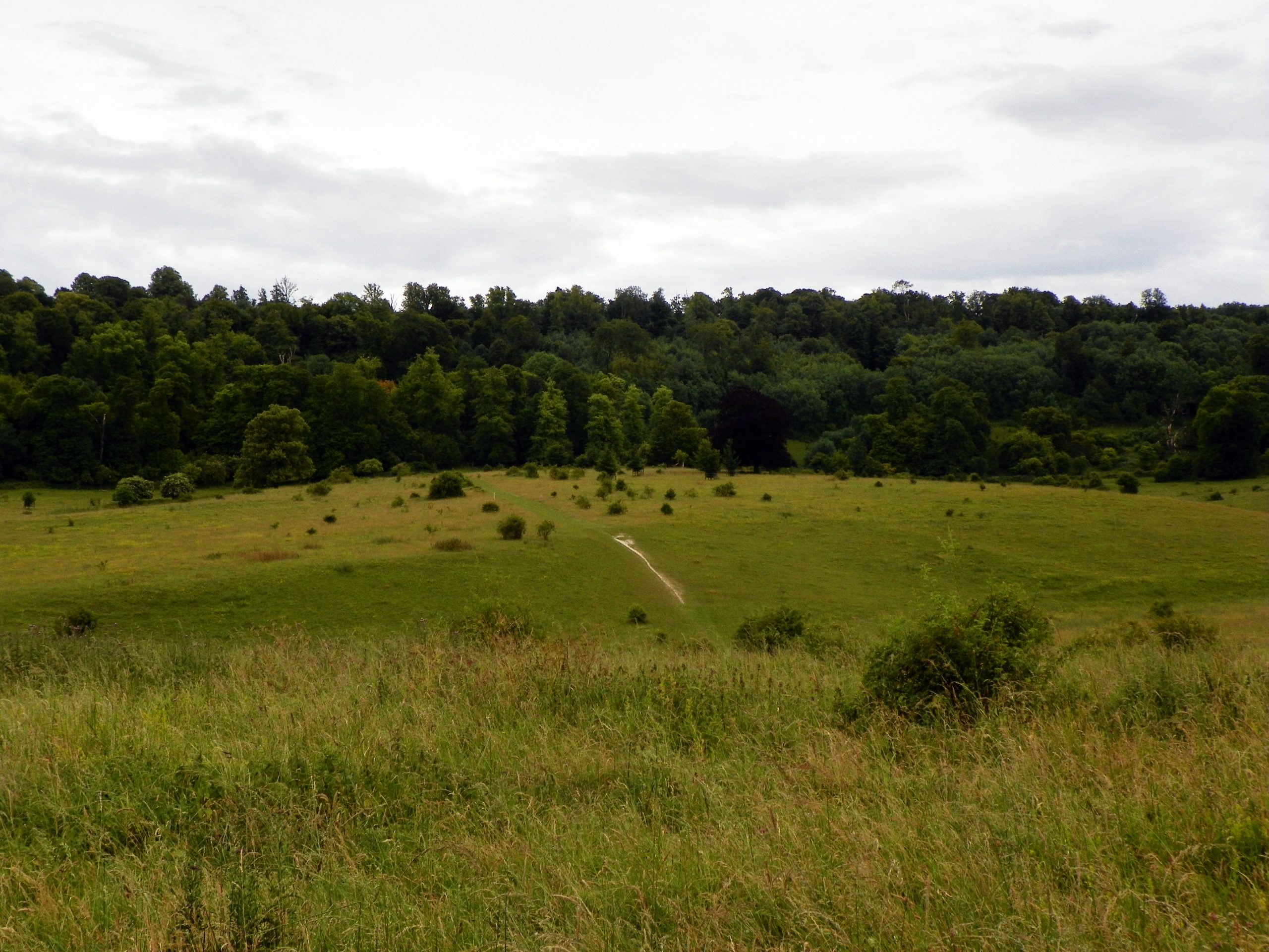 Wendover to Tring Park Walk