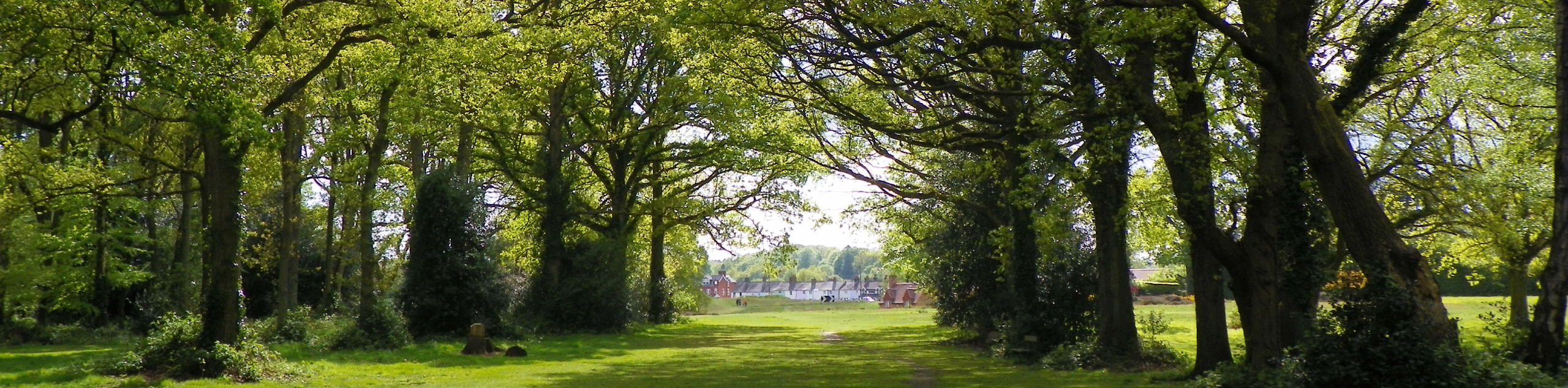 Chess Valley and Cock Inn Walk