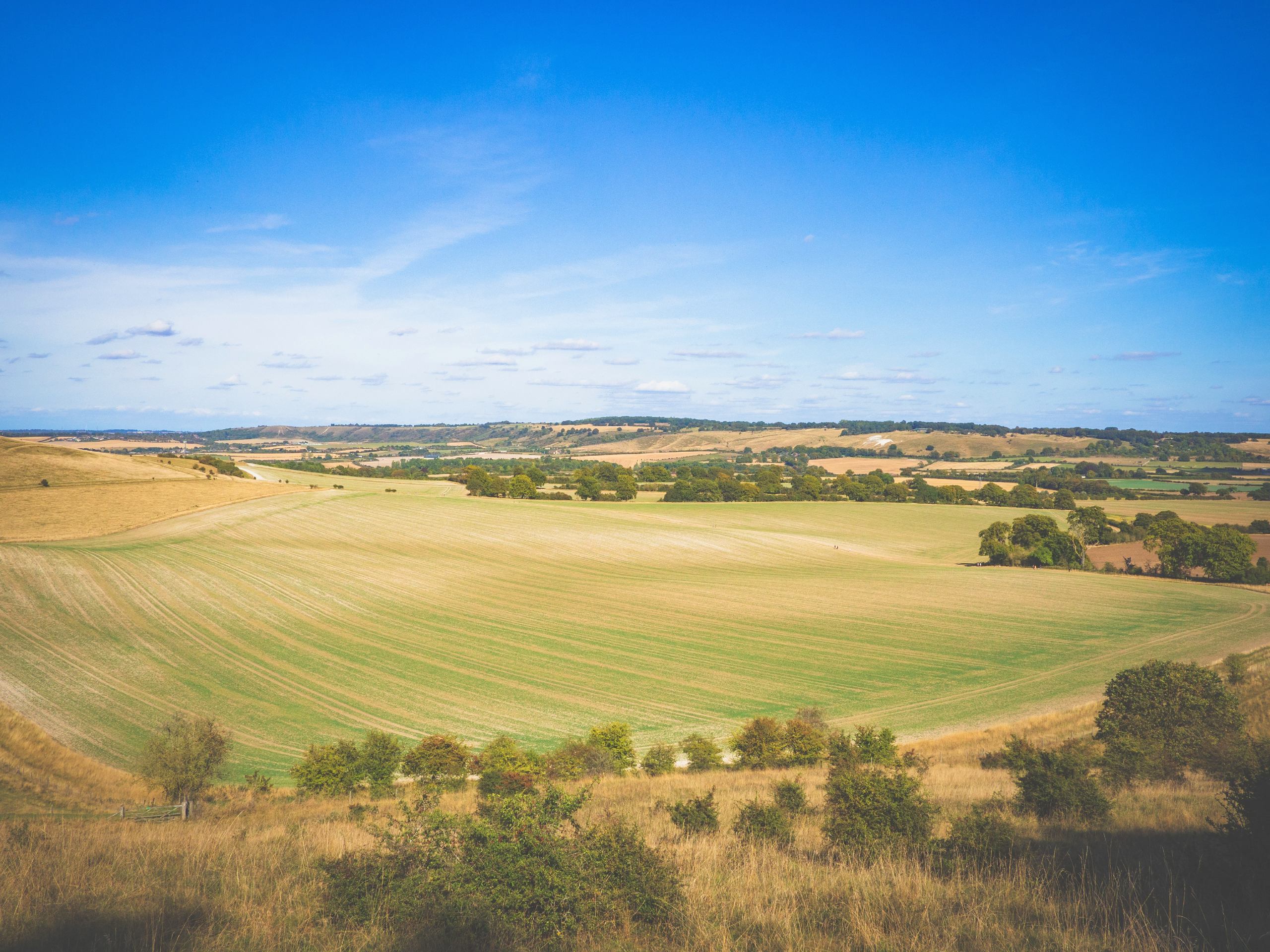 Ridgeway Path: Ivinghoe Beacon to Wendover