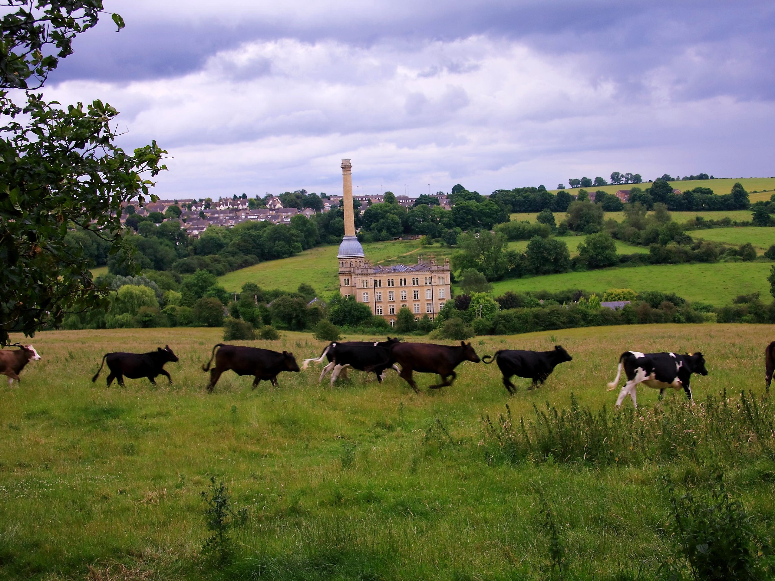 Chipping Norton and Glyme Valley Walk