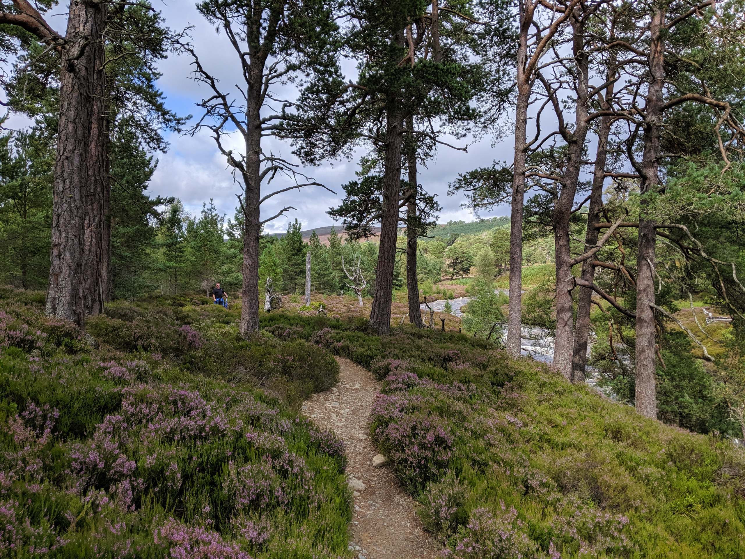 Linn of Dee Circular Walk