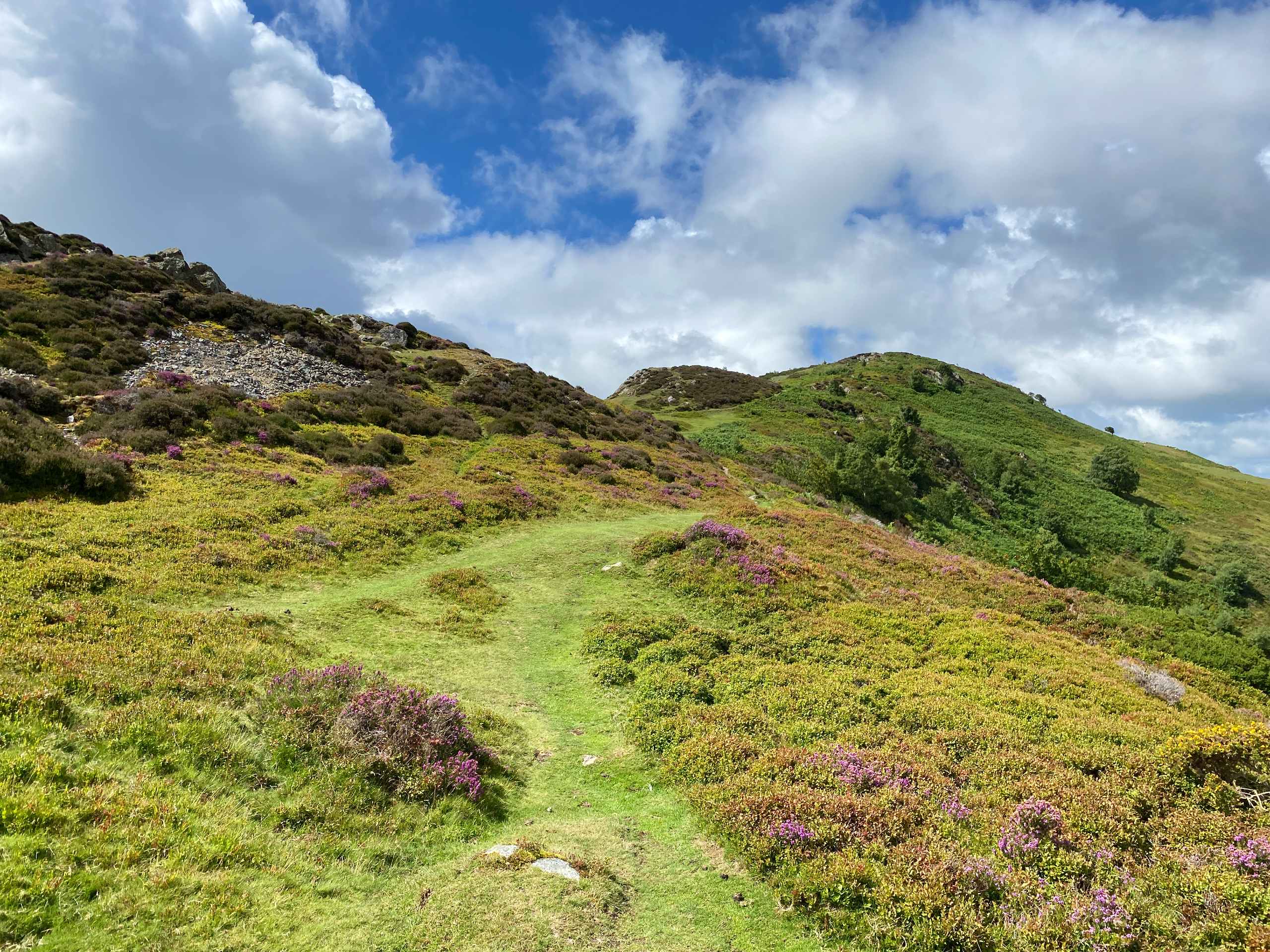 Alltwen to Mynydd y Dref Walk