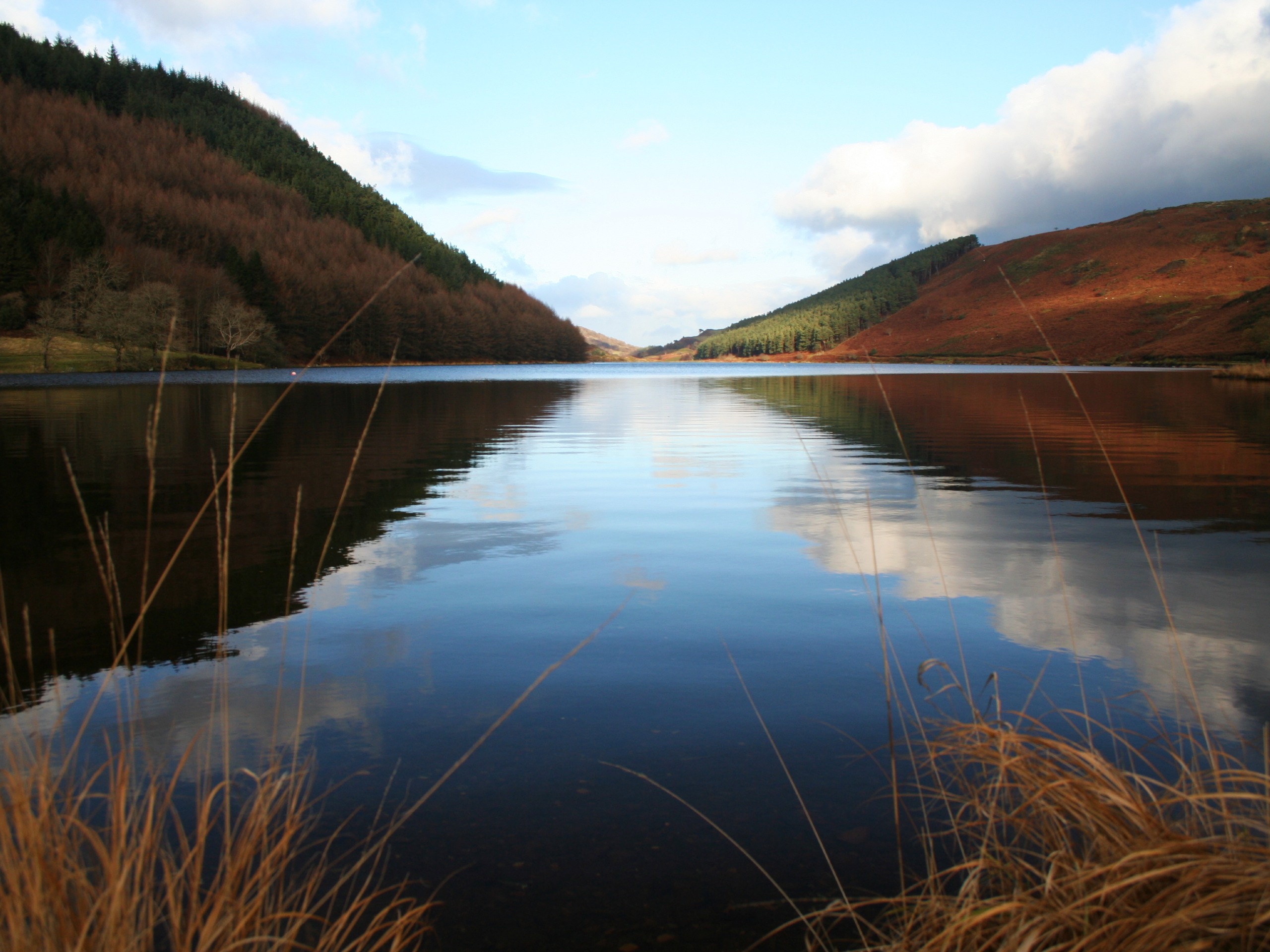 Gwydir Forest Park Walk