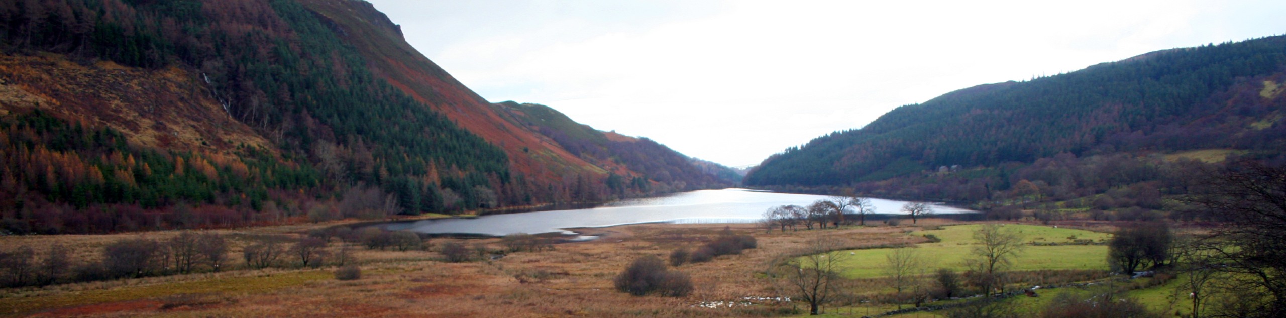 Llyn Crafnant from Trefriw