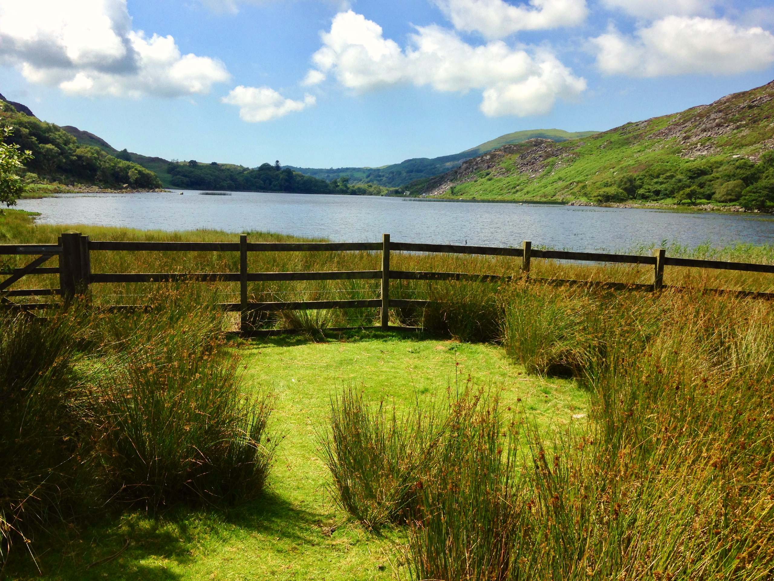 Lllyn Cwm Bychan Circuit via The Roman Steps