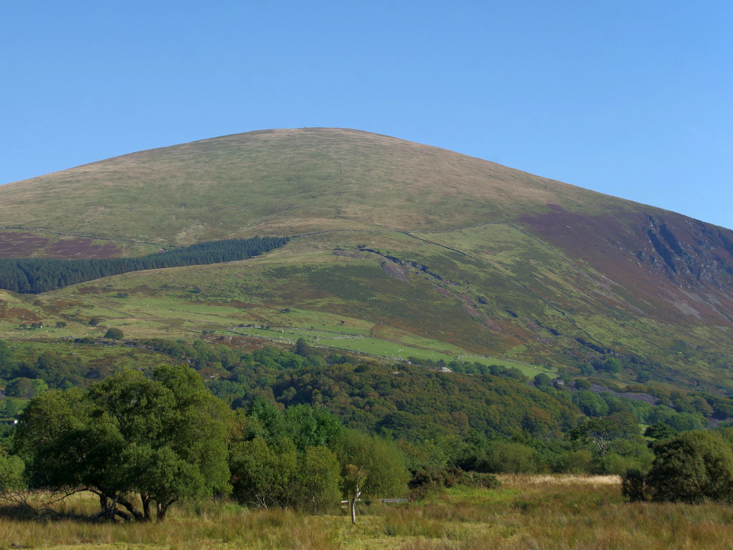 Moel Eilio Locals Walk