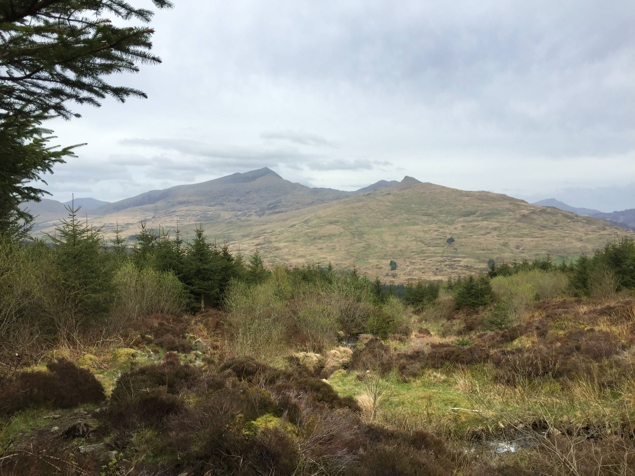 Moel Hebog Circular Walk