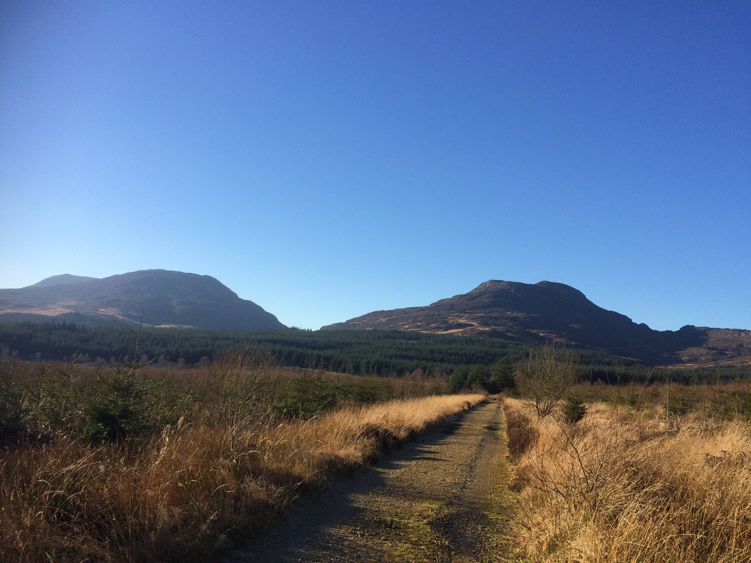 Rhinog Fawr from Graigddu-isaf