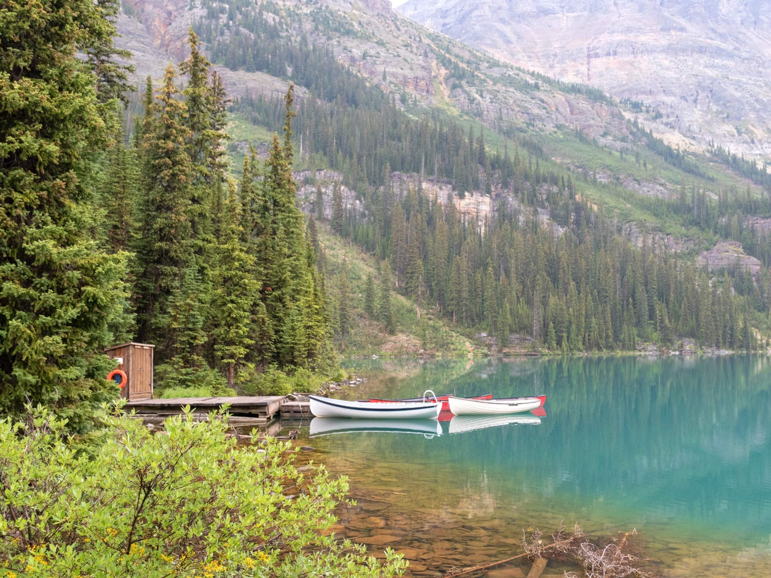 Lake O'Hara shores