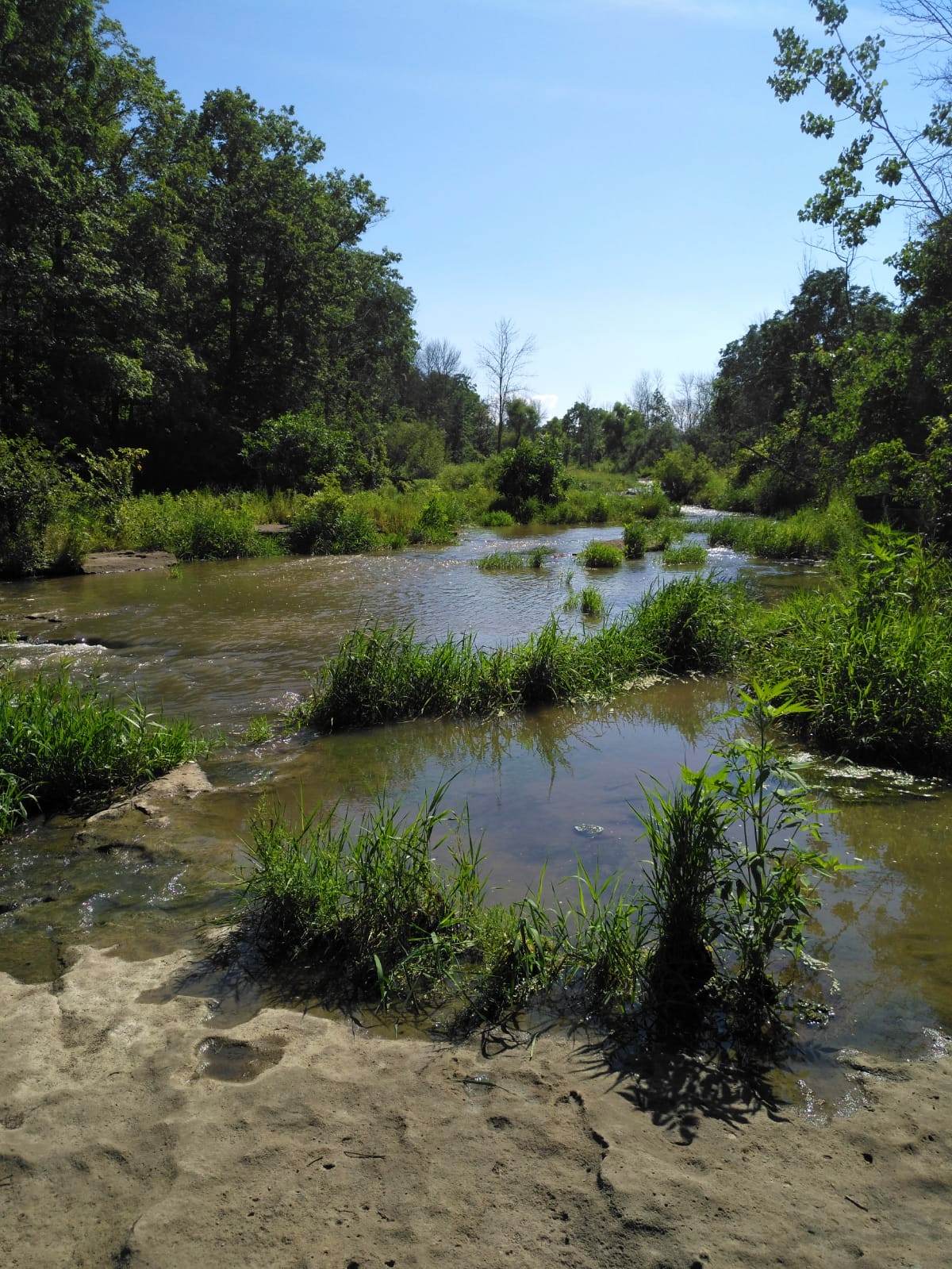 Ball’s Falls Loop