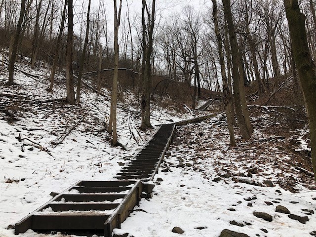Staircase that leads hikers down into the Niagara Gor