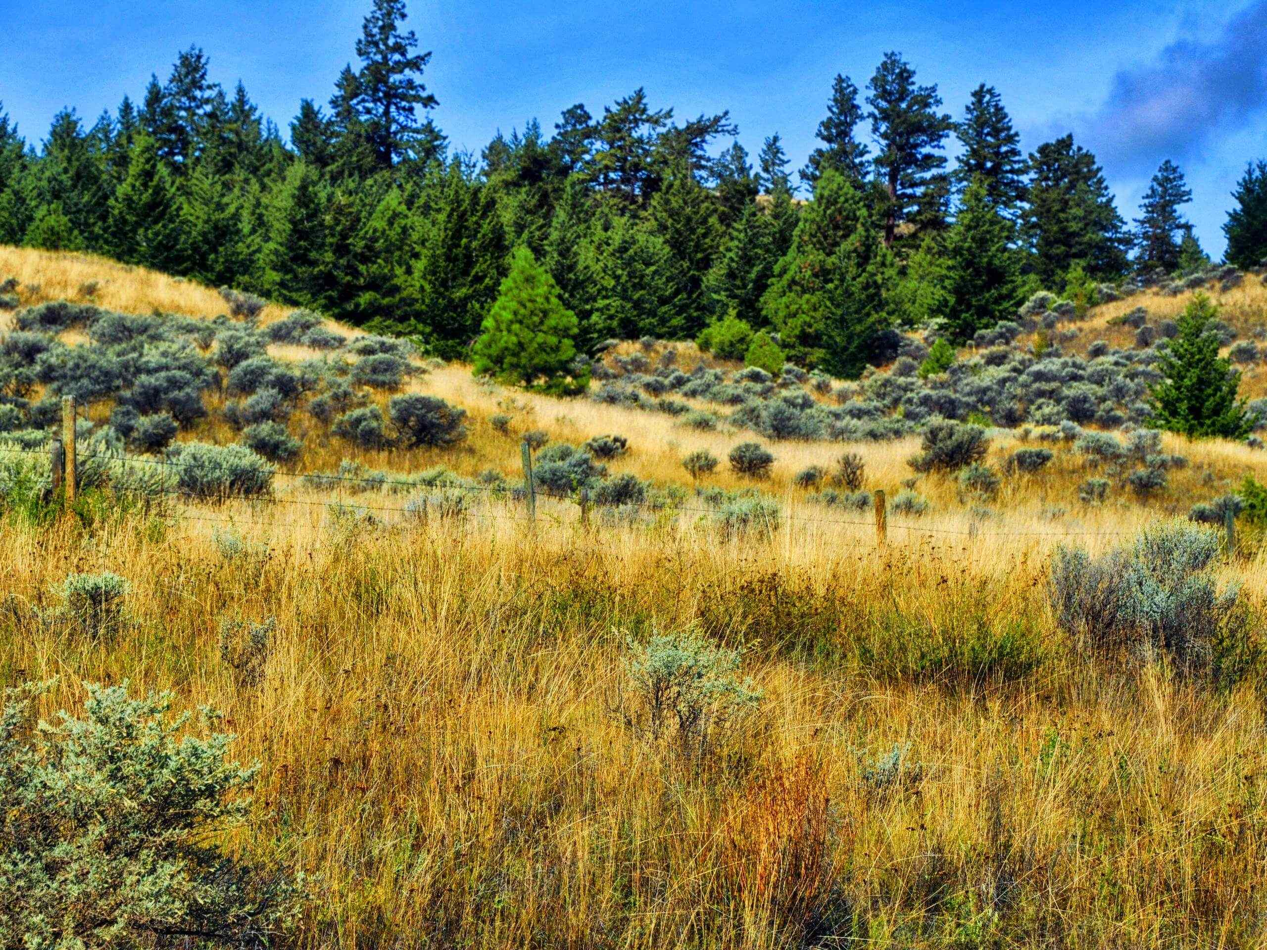 Lac du Bois Hike