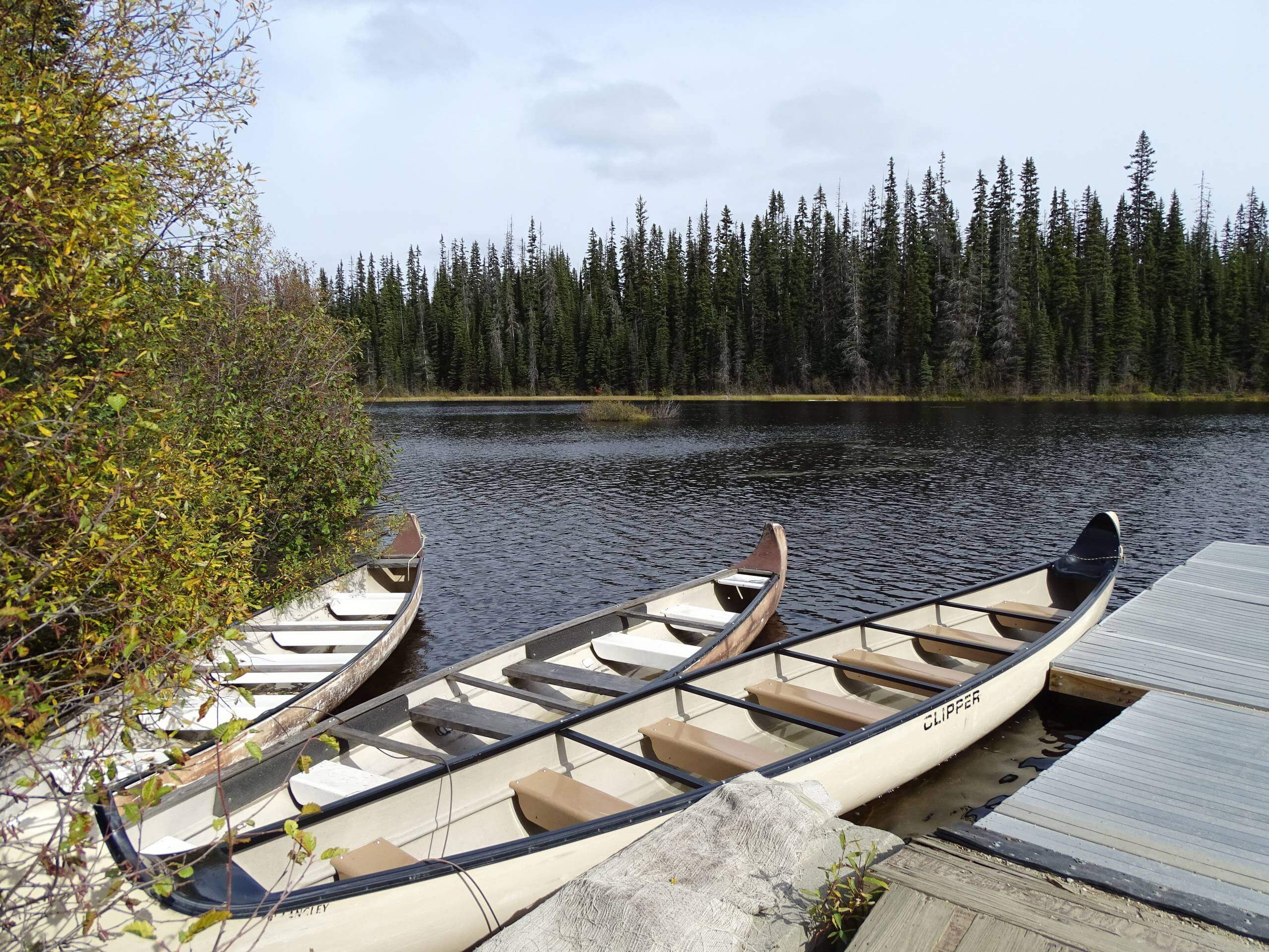 McGillivray Lake Trail