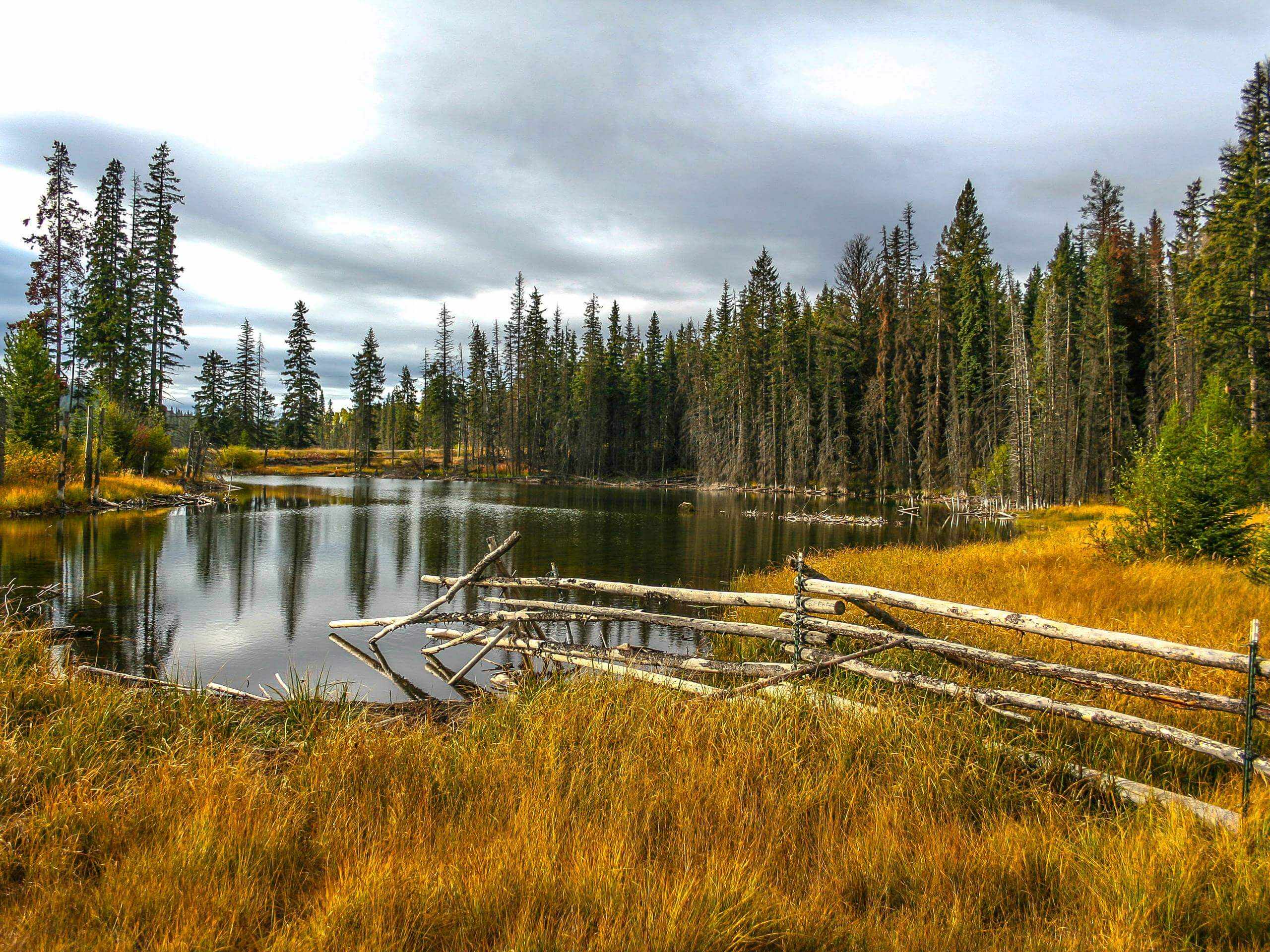 Stake Lake Cartwheel Trail