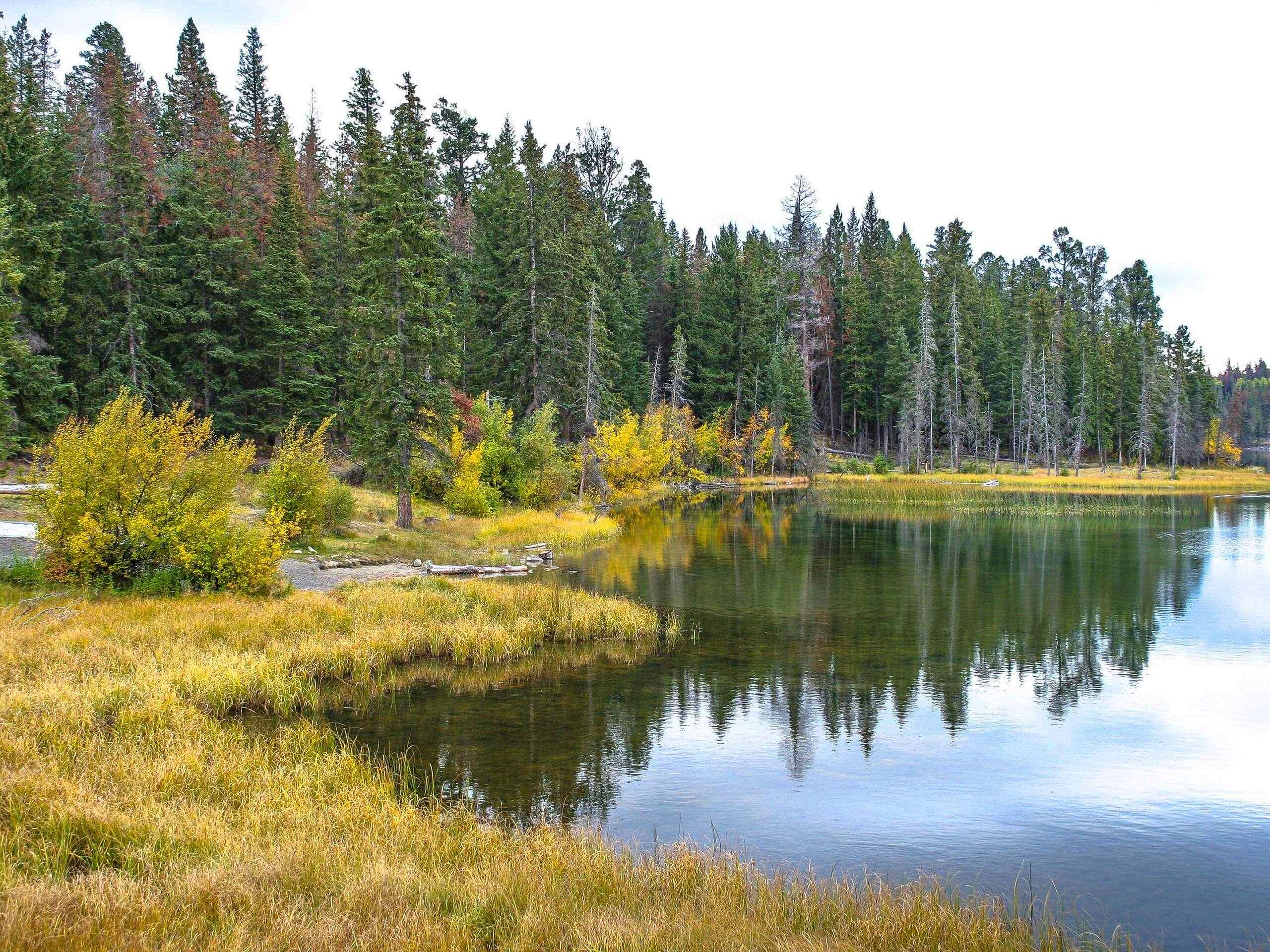 Stake Lake to Ponderosa Trail