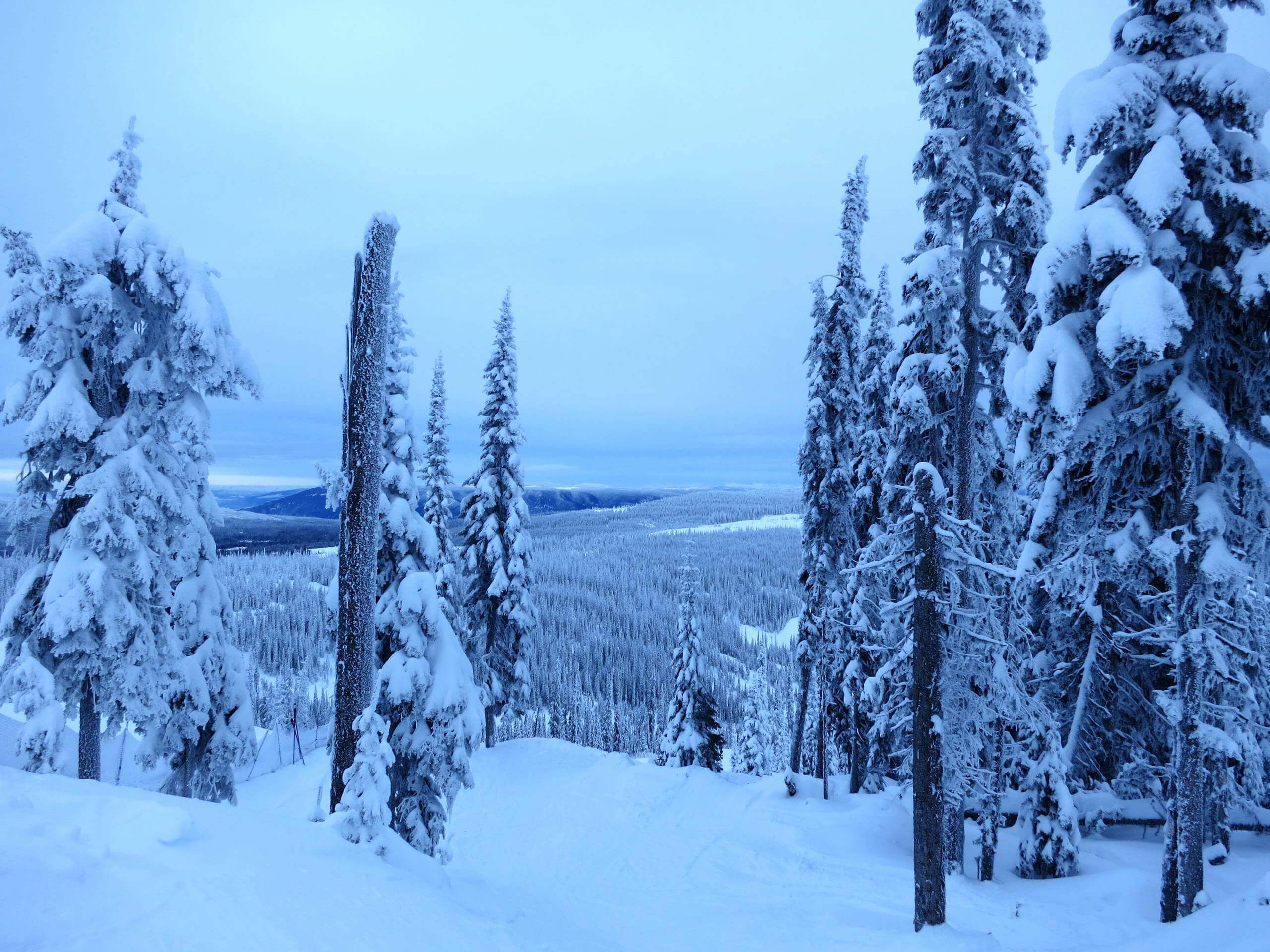 Sun Peaks Hike