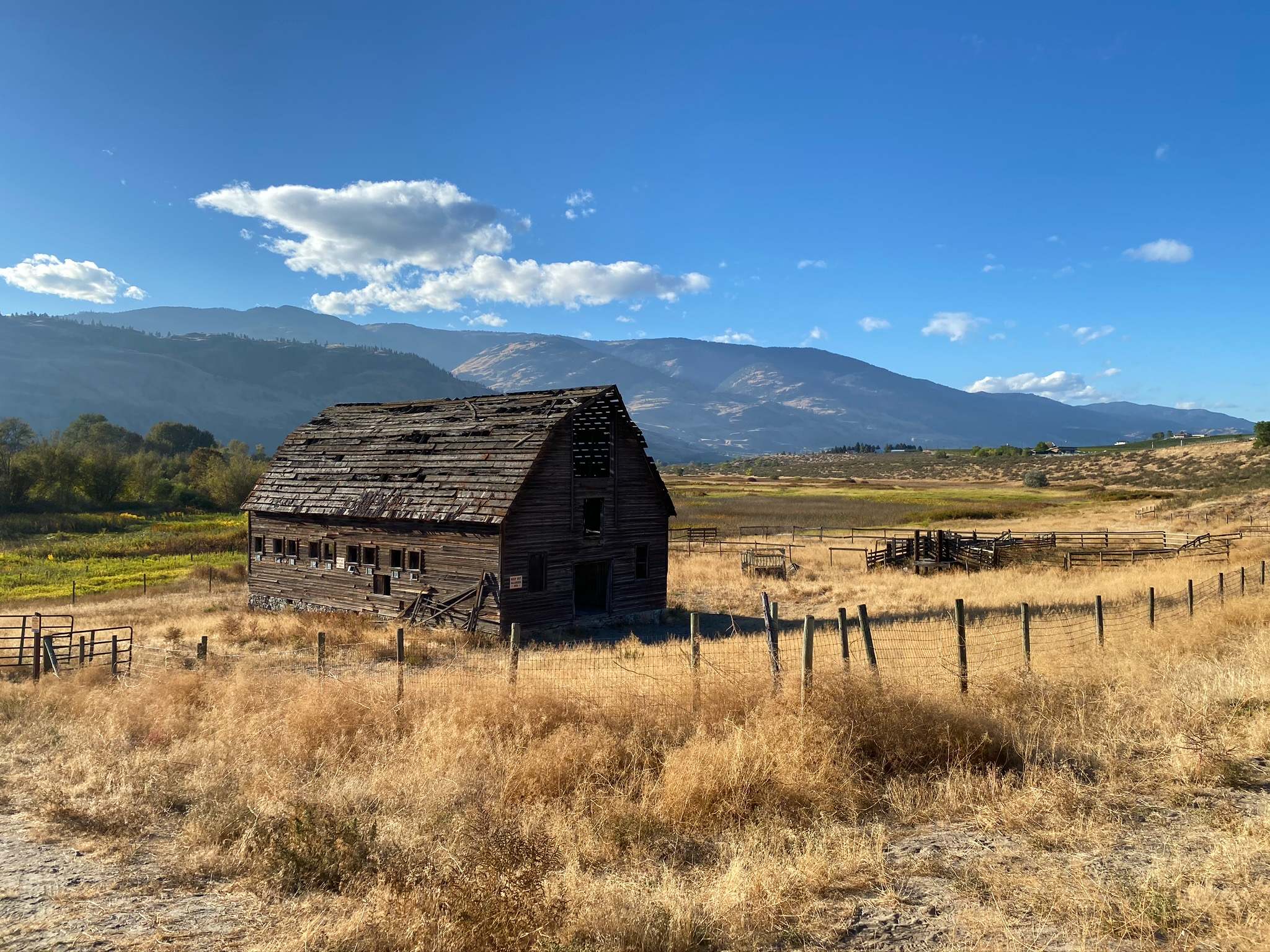 Osoyoos to Jackson Triggs Winery via Black Sage Road