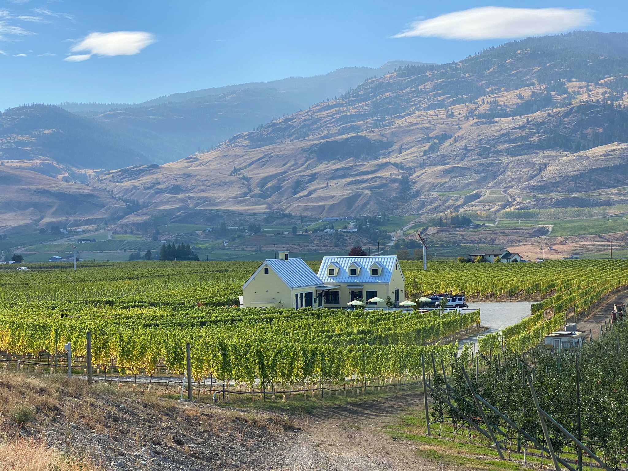 Osoyoos to Jackson Triggs Winery via Black Sage Road