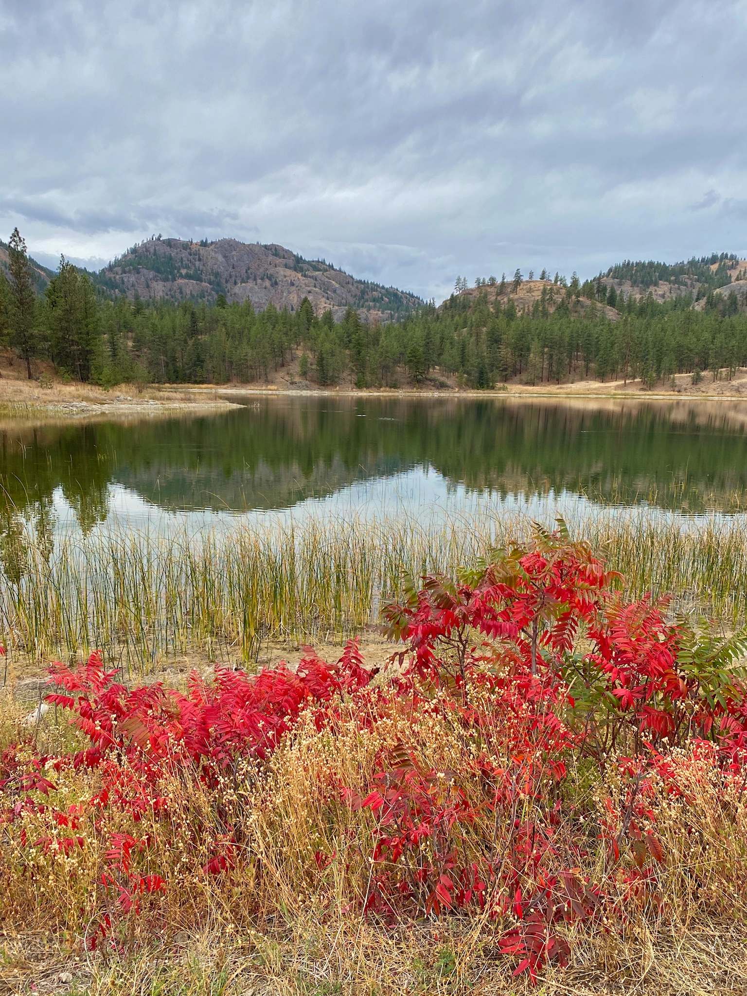 Penticton to Skaha and Green Lakes